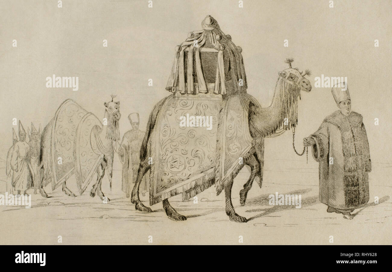 Heilige Kamel und Kamel der Respekt. Kupferstich von Vernier. Panorama Universal. Geschichte von Arabien, 1851. Stockfoto