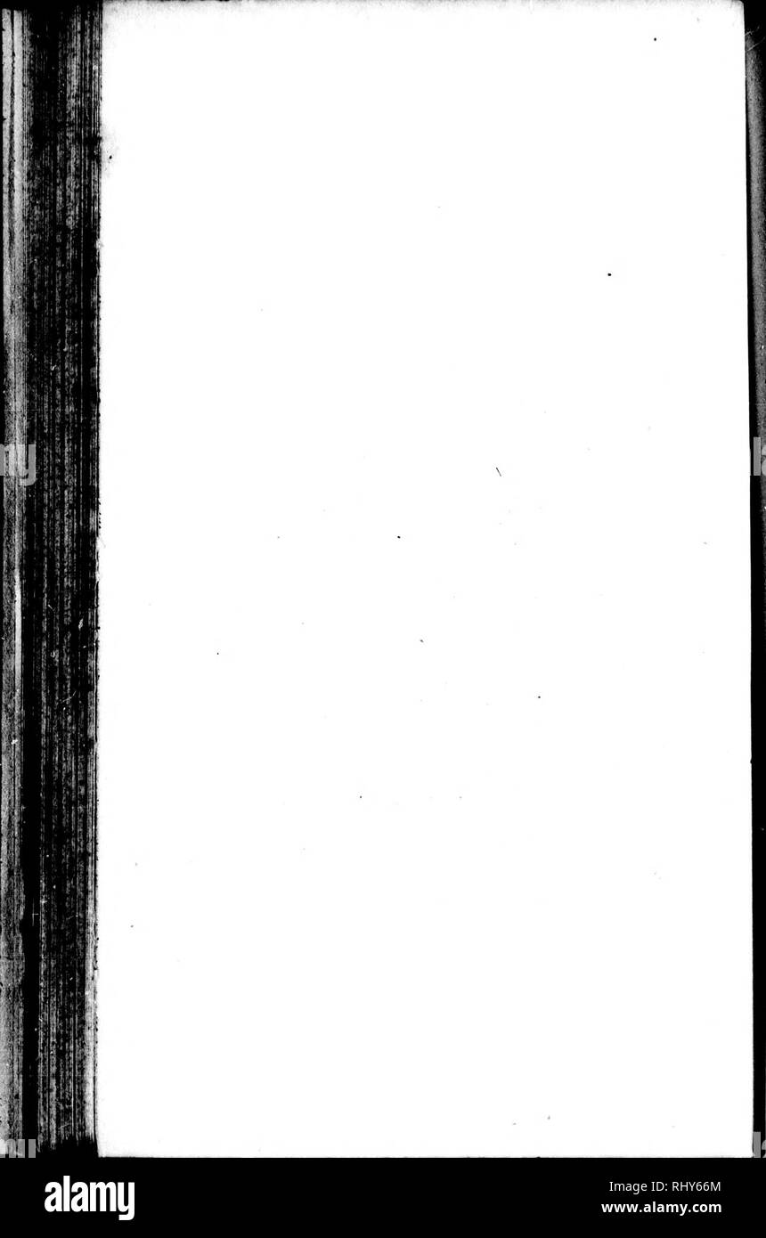 . Die Naturgeschichte der Vögel [microform]: Aus dem Französischen von Graf de Buffon. Ornithologie; Vögel; Ornithologie; Oiseaux. . Bitte beachten Sie, dass diese Bilder sind von der gescannten Seite Bilder, die digital für die Lesbarkeit verbessert haben mögen - Färbung und Aussehen dieser Abbildungen können nicht perfekt dem Original ähneln. extrahiert. Buffon, Georges Louis Leclerc, comte de, 1707-1788. London: Gedruckt für A. Strachan und T. Cadell in der Faser, und J. Murray. .. Stockfoto