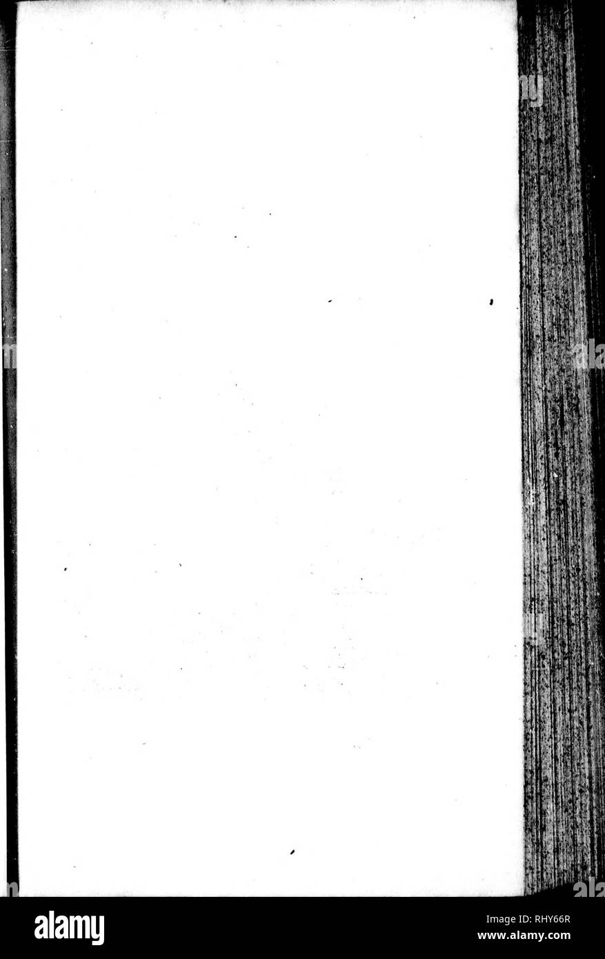 . Die Naturgeschichte der Vögel [microform]: Aus dem Französischen von Graf de Buffon. Ornithologie; Vögel; Ornithologie; Oiseaux. . Bitte beachten Sie, dass diese Bilder sind von der gescannten Seite Bilder, die digital für die Lesbarkeit verbessert haben mögen - Färbung und Aussehen dieser Abbildungen können nicht perfekt dem Original ähneln. extrahiert. Buffon, Georges Louis Leclerc, comte de, 1707-1788. London: Gedruckt für A. Strachan und T. Cadell in der Faser, und J. Murray. .. Stockfoto