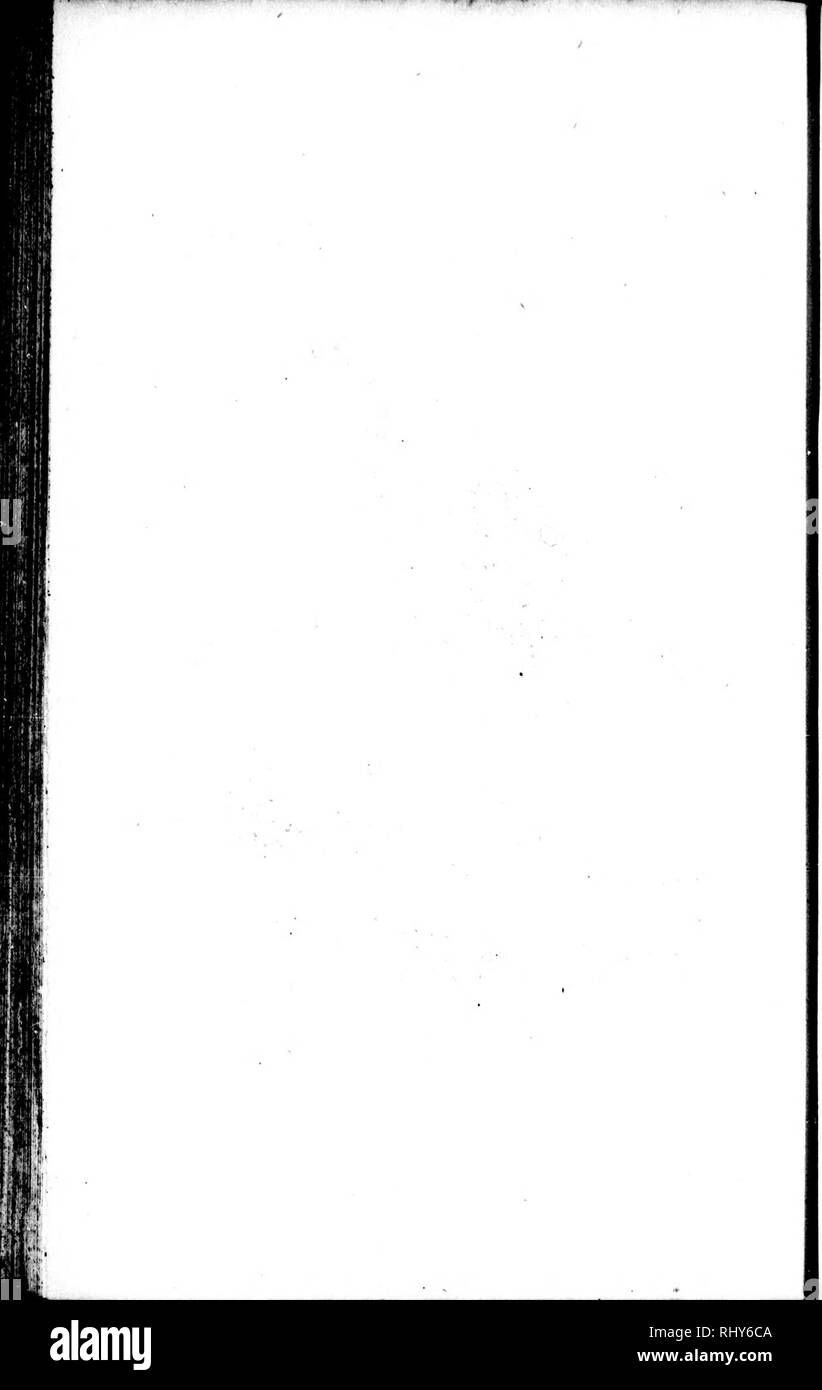 . Die Naturgeschichte der Vögel [microform]: Aus dem Französischen von Graf de Buffon. Ornithologie; Vögel; Ornithologie; Oiseaux. . Bitte beachten Sie, dass diese Bilder sind von der gescannten Seite Bilder, die digital für die Lesbarkeit verbessert haben mögen - Färbung und Aussehen dieser Abbildungen können nicht perfekt dem Original ähneln. extrahiert. Buffon, Georges Louis Leclerc, comte de, 1707-1788. London: Gedruckt für A. Strachan und T. Cadell in der Faser, und J. Murray. .. Stockfoto