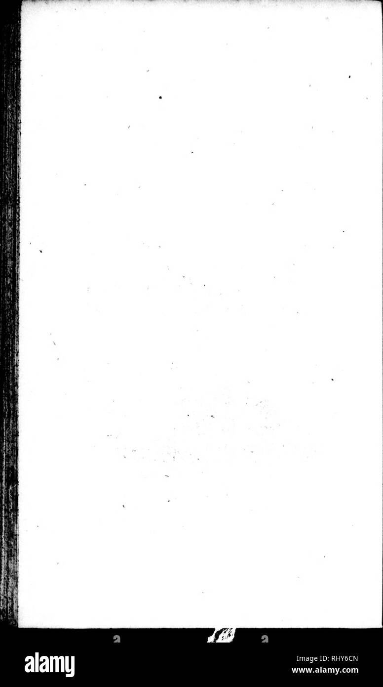 . Die Naturgeschichte der Vögel [microform]: Aus dem Französischen von Graf de Buffon. Ornithologie; Vögel; Ornithologie; Oiseaux. . Bitte beachten Sie, dass diese Bilder sind von der gescannten Seite Bilder, die digital für die Lesbarkeit verbessert haben mögen - Färbung und Aussehen dieser Abbildungen können nicht perfekt dem Original ähneln. extrahiert. Buffon, Georges Louis Leclerc, comte de, 1707-1788. London: Gedruckt für A. Strachan und T. Cadell in der Faser, und J. Murray. .. Stockfoto