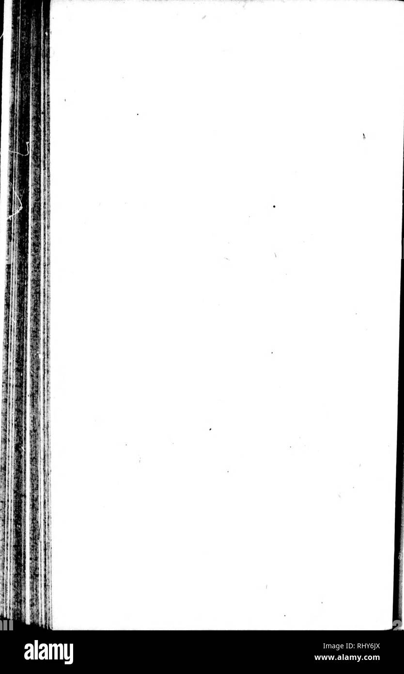 . Die Naturgeschichte der Vögel [microform]: Aus dem Französischen von Graf de Buffon. Ornithologie; Vögel; Ornithologie; Oiseaux. durch. Bitte beachten Sie, dass diese Bilder sind von der gescannten Seite Bilder, die digital für die Lesbarkeit verbessert haben mögen - Färbung und Aussehen dieser Abbildungen können nicht perfekt dem Original ähneln. extrahiert. Buffon, Georges Louis Leclerc, comte de, 1707-1788. London: Gedruckt für A. Strachan und T. Cadell in der Faser, und J. Murray. .. Stockfoto
