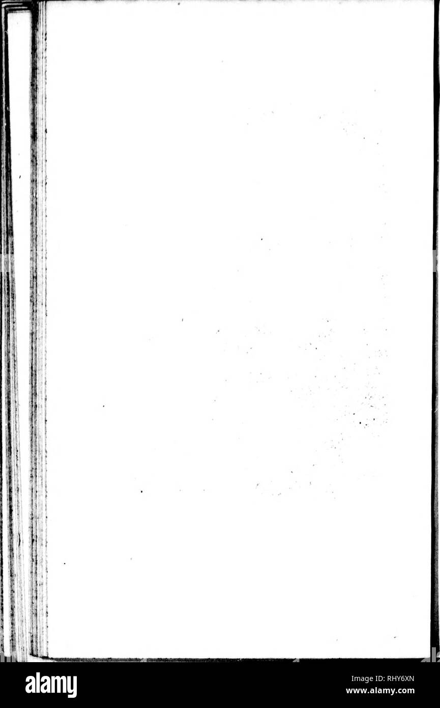 . Die Naturgeschichte der Vögel [microform]: Aus dem Französischen von Graf de Buffon. Ornithologie; Vögel; Ornithologie; Oiseaux. . Bitte beachten Sie, dass diese Bilder sind von der gescannten Seite Bilder, die digital für die Lesbarkeit verbessert haben mögen - Färbung und Aussehen dieser Abbildungen können nicht perfekt dem Original ähneln. extrahiert. Buffon, Georges Louis Leclerc, comte de, 1707-1788. London: Gedruckt für A. Strachan und T. Cadell in der Faser, und J. Murray. .. Stockfoto