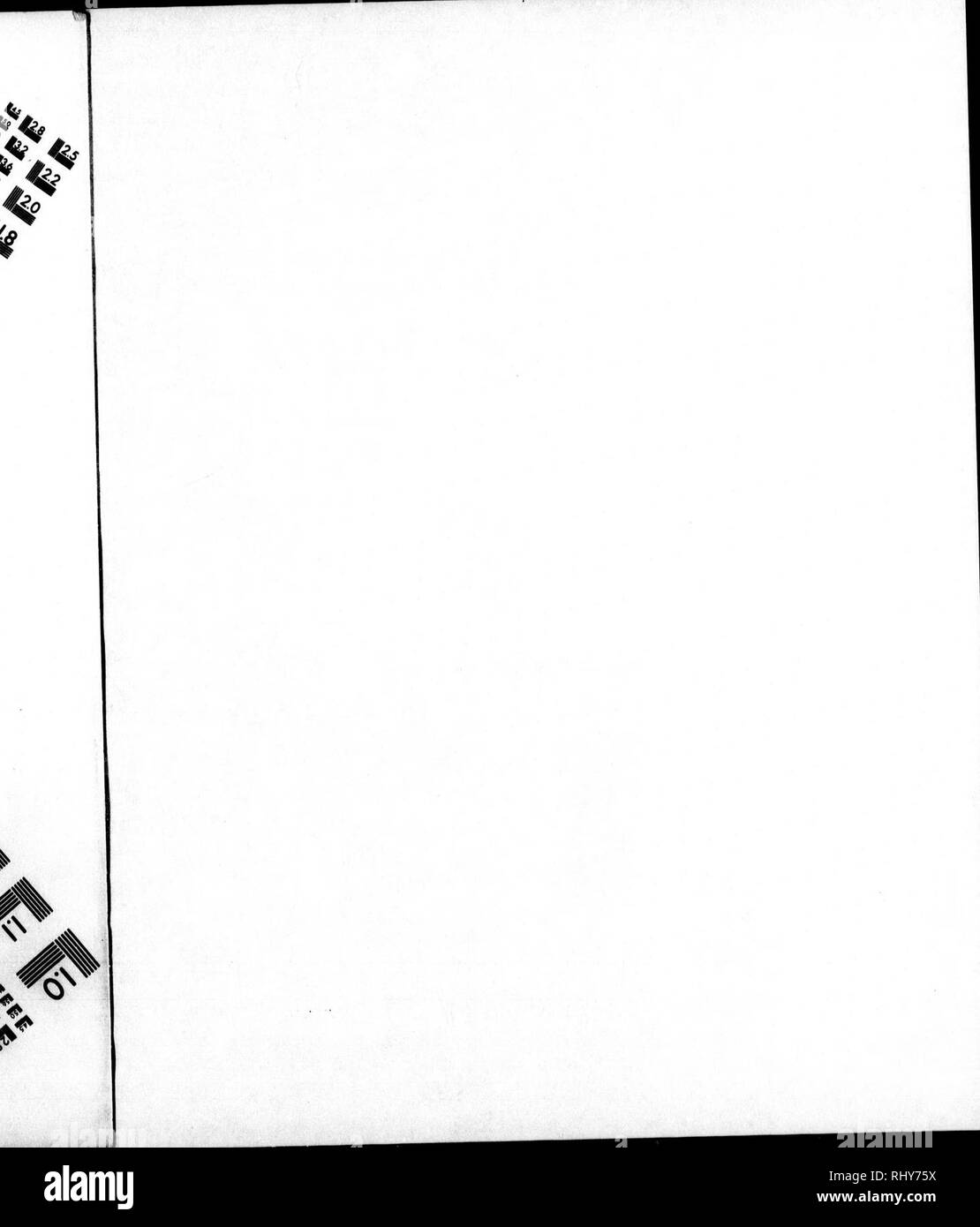 . Die Naturgeschichte der Vögel [microform]: Aus dem Französischen von Graf de Buffon. Ornithologie; Vögel; Ornithologie; Oiseaux. . Bitte beachten Sie, dass diese Bilder sind von der gescannten Seite Bilder, die digital für die Lesbarkeit verbessert haben mögen - Färbung und Aussehen dieser Abbildungen können nicht perfekt dem Original ähneln. extrahiert. Buffon, Georges Louis Leclerc, comte de, 1707-1788. London: Gedruckt für A. Strachan und T. Cadell in der Faser, und J. Murray. .. Stockfoto