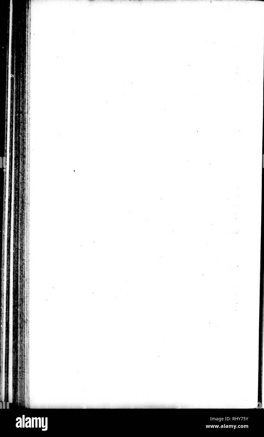 . Die Naturgeschichte der Vögel [microform]: Aus dem Französischen von Graf de Buffon. Ornithologie; Vögel; Ornithologie; Oiseaux. . Bitte beachten Sie, dass diese Bilder sind von der gescannten Seite Bilder, die digital für die Lesbarkeit verbessert haben mögen - Färbung und Aussehen dieser Abbildungen können nicht perfekt dem Original ähneln. extrahiert. Buffon, Georges Louis Leclerc, comte de, 1707-1788. London: Gedruckt für A. Strachan und T. Cadell in der Faser, und J. Murray. .. Stockfoto