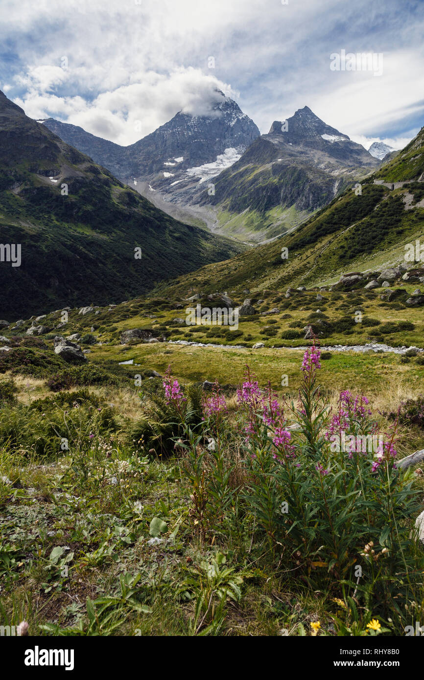 Sustenpass, Schweiz Stockfoto