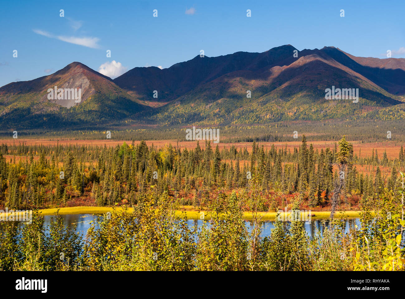 Herbst Farben entlang Nabesna Road in Wrangell-St. Elias National Park erfasst Stockfoto
