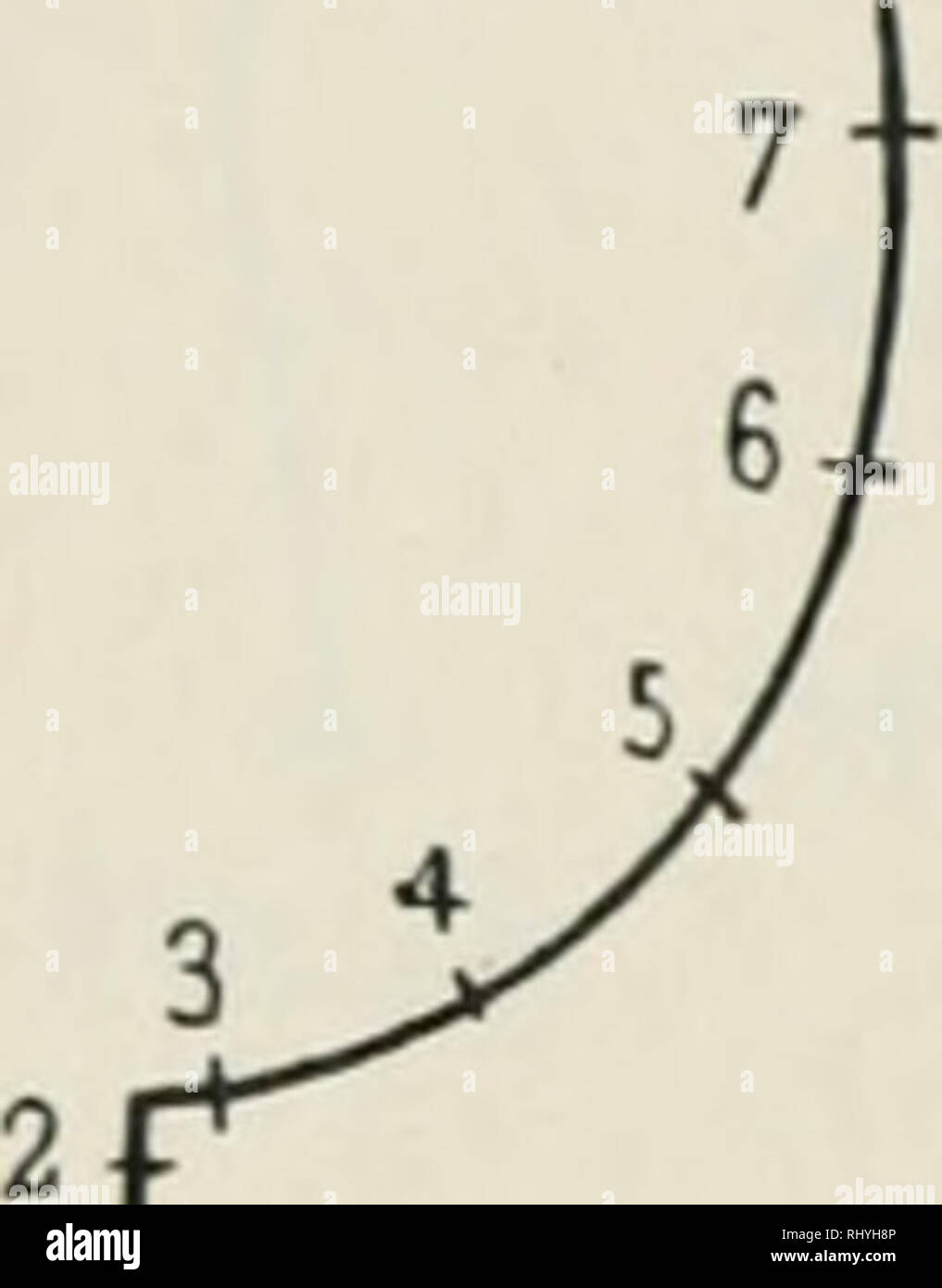. Beihefte zum botanischen Centralblatt. Pflanzen. '236 Ursprung, exzentrisches Diekenwachstum von Stiiimneii niul Asten. Die Querschnitte sind Ca. 10 cm voneinander entfernt. Das Mark springt somit in einem Intervall von 2 DM von der einen auf die andere Seite des Stammes über. Wenn auch hier infolge der starken Biegung eine völlige Ausgleichung der Krümmung nicht zustande kommen konnte, so wurde doch wenigstens diesem Ziele zugestrebt und dadurch der Hebelarm der biegen - Höhle Kraft möglichst verkürzt. Viii. Das stämmchen hat die gestalttherapie von Abb. 20. Distanz der Schnitte 10 cm, ausge-nomme Stockfoto