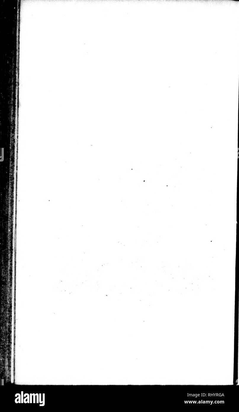 . Die Naturgeschichte der Vögel [microform]: Aus dem Französischen von Graf de Buffon. Ornithologie; Vögel; Ornithologie; Oiseaux. Ein ^. Bitte beachten Sie, dass diese Bilder sind von der gescannten Seite Bilder, die digital für die Lesbarkeit verbessert haben mögen - Färbung und Aussehen dieser Abbildungen können nicht perfekt dem Original ähneln. extrahiert. Buffon, Georges Louis Leclerc, comte de, 1707-1788. London: Gedruckt für A. Strachan und T. Cadell in der Faser, und J. Murray. .. Stockfoto