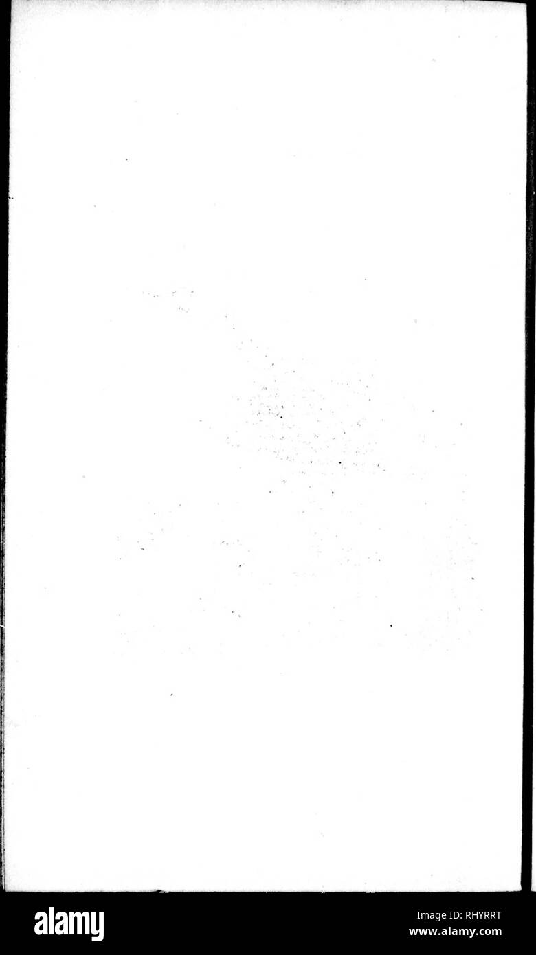 . Die Naturgeschichte der Vögel [microform]: Aus dem Französischen von Graf de Buffon. Ornithologie; Vögel; Ornithologie; Oiseaux. . Bitte beachten Sie, dass diese Bilder sind von der gescannten Seite Bilder, die digital für die Lesbarkeit verbessert haben mögen - Färbung und Aussehen dieser Abbildungen können nicht perfekt dem Original ähneln. extrahiert. Buffon, Georges Louis Leclerc, comte de, 1707-1788. London: Gedruckt für A. Strachan und T. Cadell in der Faser, und J. Murray. .. Stockfoto