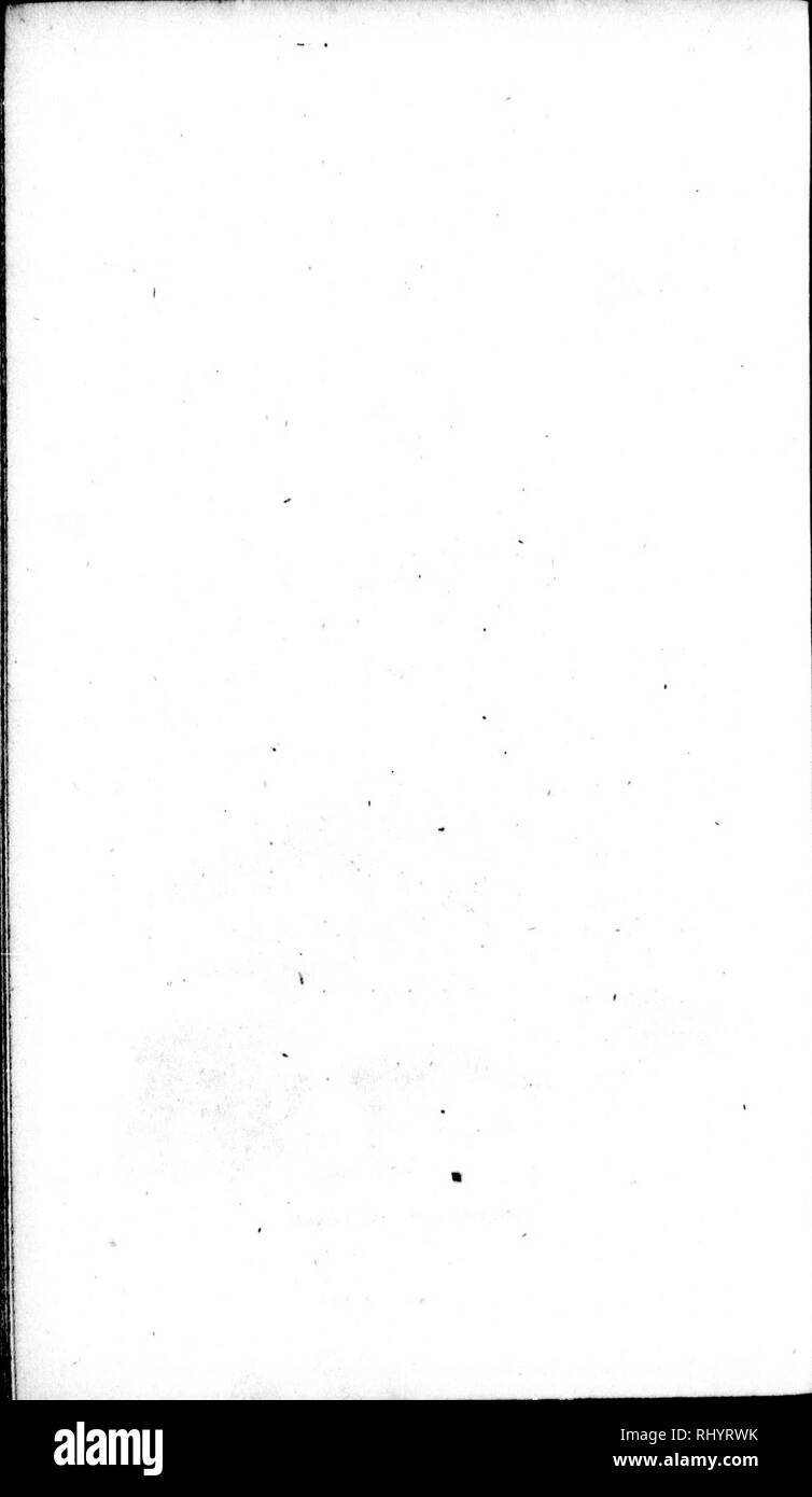 . Die Naturgeschichte der Vögel [microform]: Aus dem Französischen von Graf de Buffon. Ornithologie; Vögel; Ornithologie; Oiseaux. . Bitte beachten Sie, dass diese Bilder sind von der gescannten Seite Bilder, die digital für die Lesbarkeit verbessert haben mögen - Färbung und Aussehen dieser Abbildungen können nicht perfekt dem Original ähneln. extrahiert. Buffon, Georges Louis Leclerc, comte de, 1707-1788. London: Gedruckt für A. Strachan und T. Cadell in der Faser, und J. Murray. .. Stockfoto