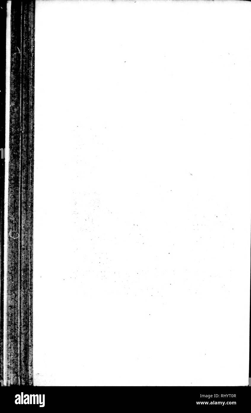 . Die Naturgeschichte der Vögel [microform]: Aus dem Französischen von Graf de Buffon. Ornithologie; Vögel; Ornithologie; Oiseaux. . Bitte beachten Sie, dass diese Bilder sind von der gescannten Seite Bilder, die digital für die Lesbarkeit verbessert haben mögen - Färbung und Aussehen dieser Abbildungen können nicht perfekt dem Original ähneln. extrahiert. Buffon, Georges Louis Leclerc, comte de, 1707-1788. London: Gedruckt für A. Strachan und T. Cadell in der Faser, und J. Murray. .. Stockfoto