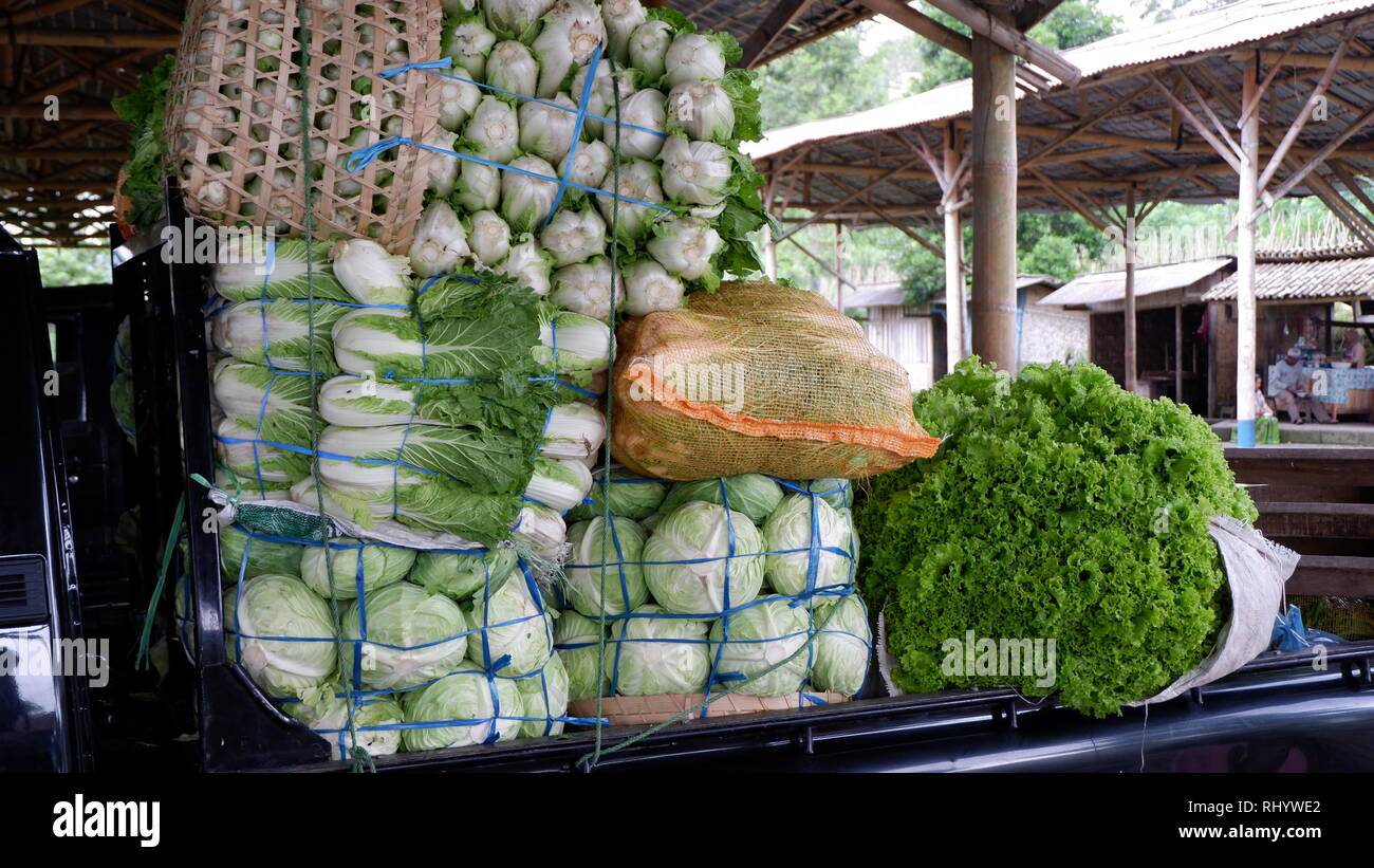 Ein Stapel von frischem Gemüse fertig zum Verzehr Stockfoto