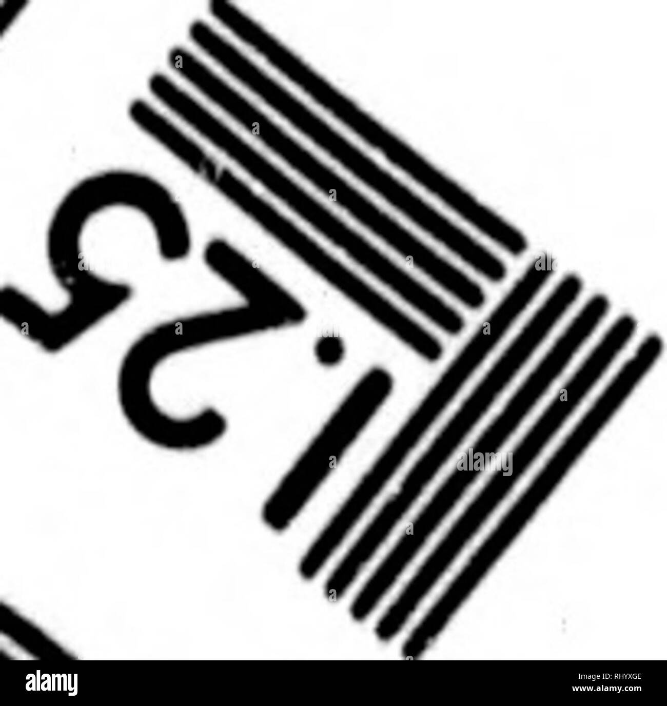 . Manuel de l'histoire naturelle des crustacÃ©s [microforme]: Contenant leur Beschreibung et leurs moeurs, avec zahlen dessinÃ©es d'Après-ski-Natur. CrustacÃ©s; Krebstiere. ,&Lt;i'&lt; i, 4^/. Ã / Sciences Corporation 33 WEST MAIN STREET WEBSTER, N.Y., 14580 (716) 872-4503. Bitte beachten Sie, dass diese Bilder sind von der gescannten Seite Bilder, die digital für die Lesbarkeit verbessert haben mögen - Färbung und Aussehen dieser Abbildungen können nicht perfekt dem Original ähneln. extrahiert. Bosc, L. A. G. (Louis Augustin Guillaume), 1729-1828; Desmarest, Armand Gaëtans, 1789-1838. [ Stockfoto