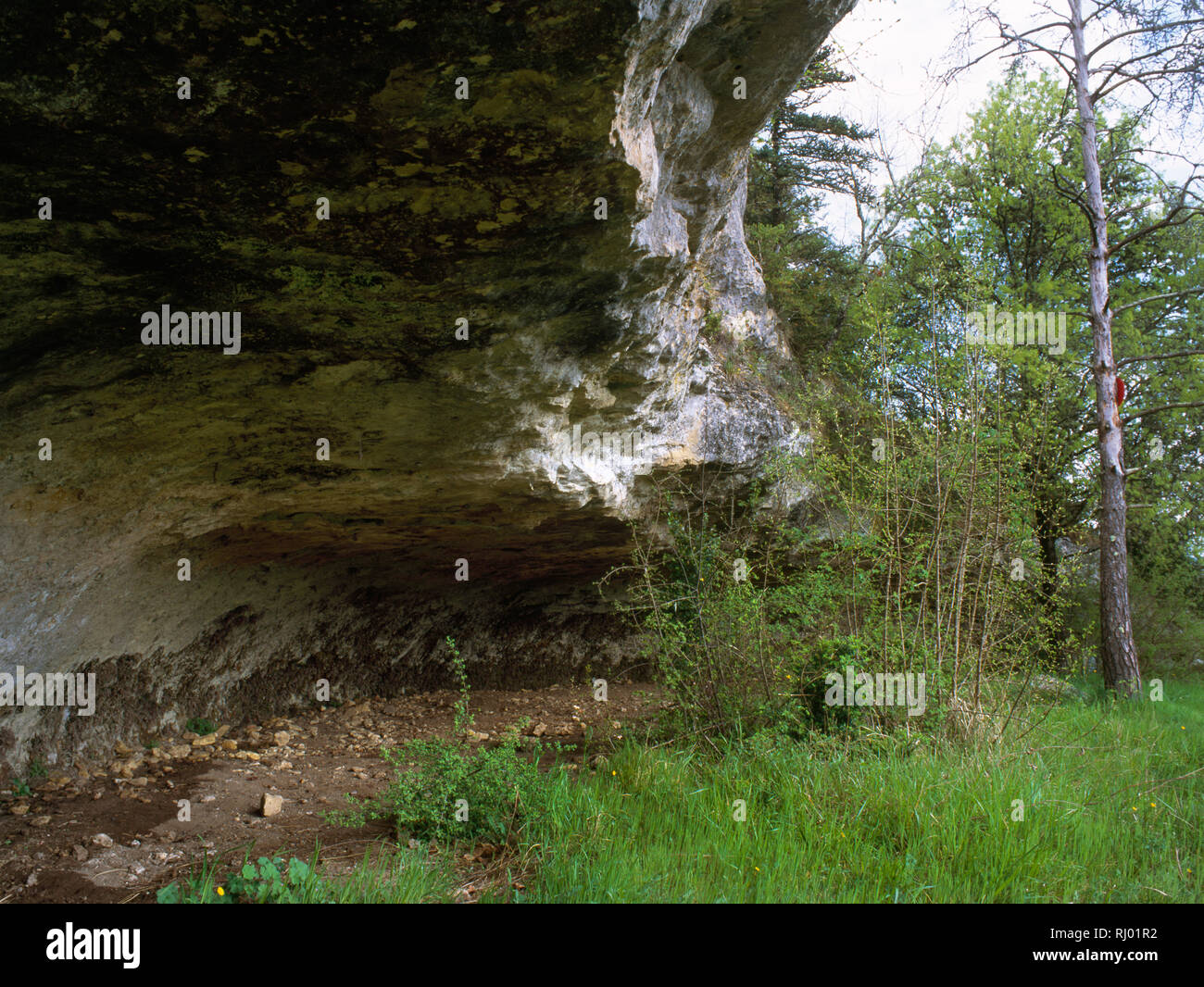 Le Moustier Oberen Felsen Schutz, oder Abri Superieur de Moustier, Blick nach Osten entlang der Felsen Schutz unter dem Überhang. Stockfoto