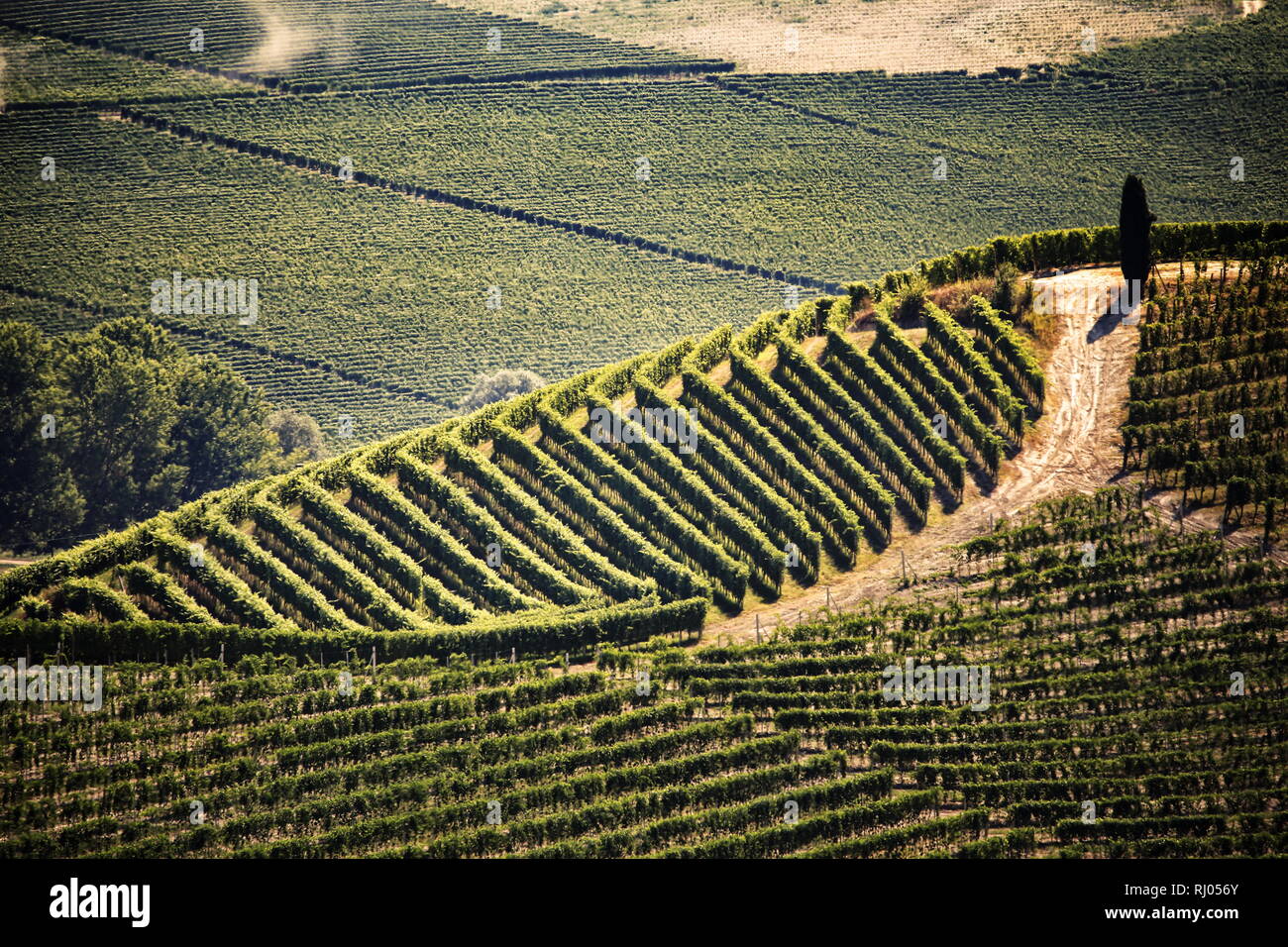Die schöne Landschaft des Chianti Weingüter in der Toskana, Italien Stockfoto