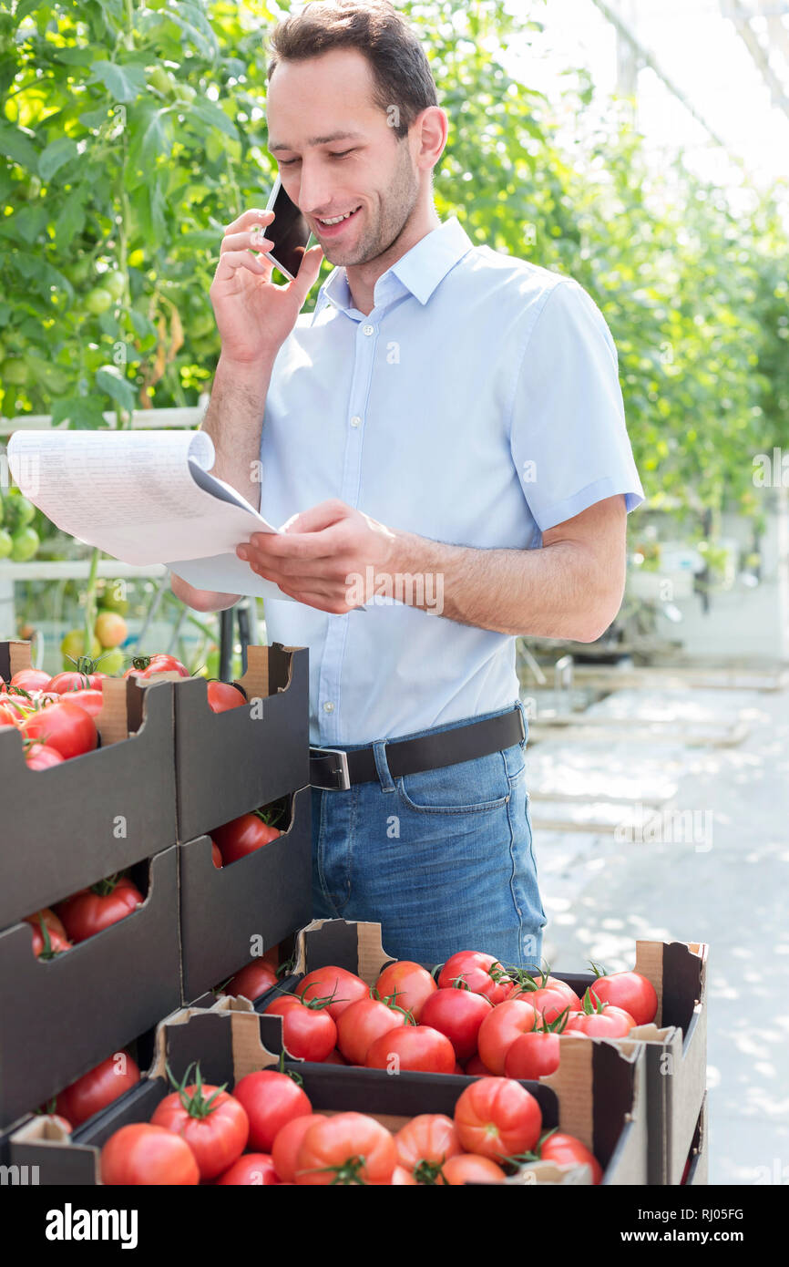 Lächelnd Supervisor sprechen auf dem Smartphone beim Lesen Bericht über Kisten Tomaten im Gewächshaus Stockfoto