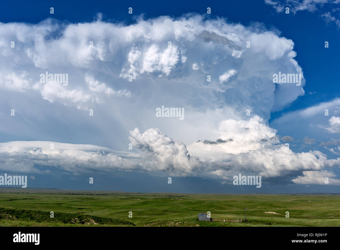 Malerische Wyoming-Landschaft mit wabernden Cumulonimbus-Wolken von einem sich entwickelnden Gewitter am Nachmittags-Himmel in der Nähe von Lusk Stockfoto