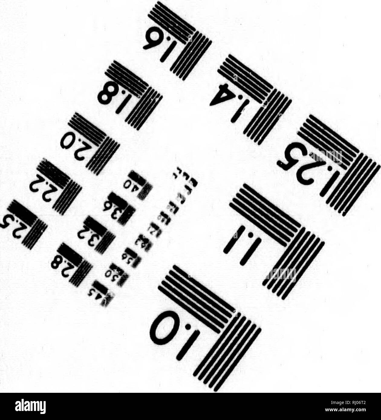 . Frank Förster Fisch und Fischerei der Vereinigten Staaten und des Britischen Provinzen Nordamerika [microform]. Fische; Angeln; Poissons; PÃªche sportlich. Bild TEST ZUR BEURTEILUNG ZIEL (MT-3) 1.0 I.I 11.25 11.4 y^lM | 2,5 - 50""^^ Mb ^H us1^ 12.2 1.6. PhotDgraphic Sciences Corporation. Bitte beachten Sie, dass diese Bilder sind von der gescannten Seite Bilder, die digital für die Lesbarkeit verbessert haben mögen - Färbung und Aussehen dieser Abbildungen können nicht perfekt dem Original ähneln. extrahiert. Herbert, Henry William, 1807-1858. New York: Stringer & Amp; Townsend Stockfoto