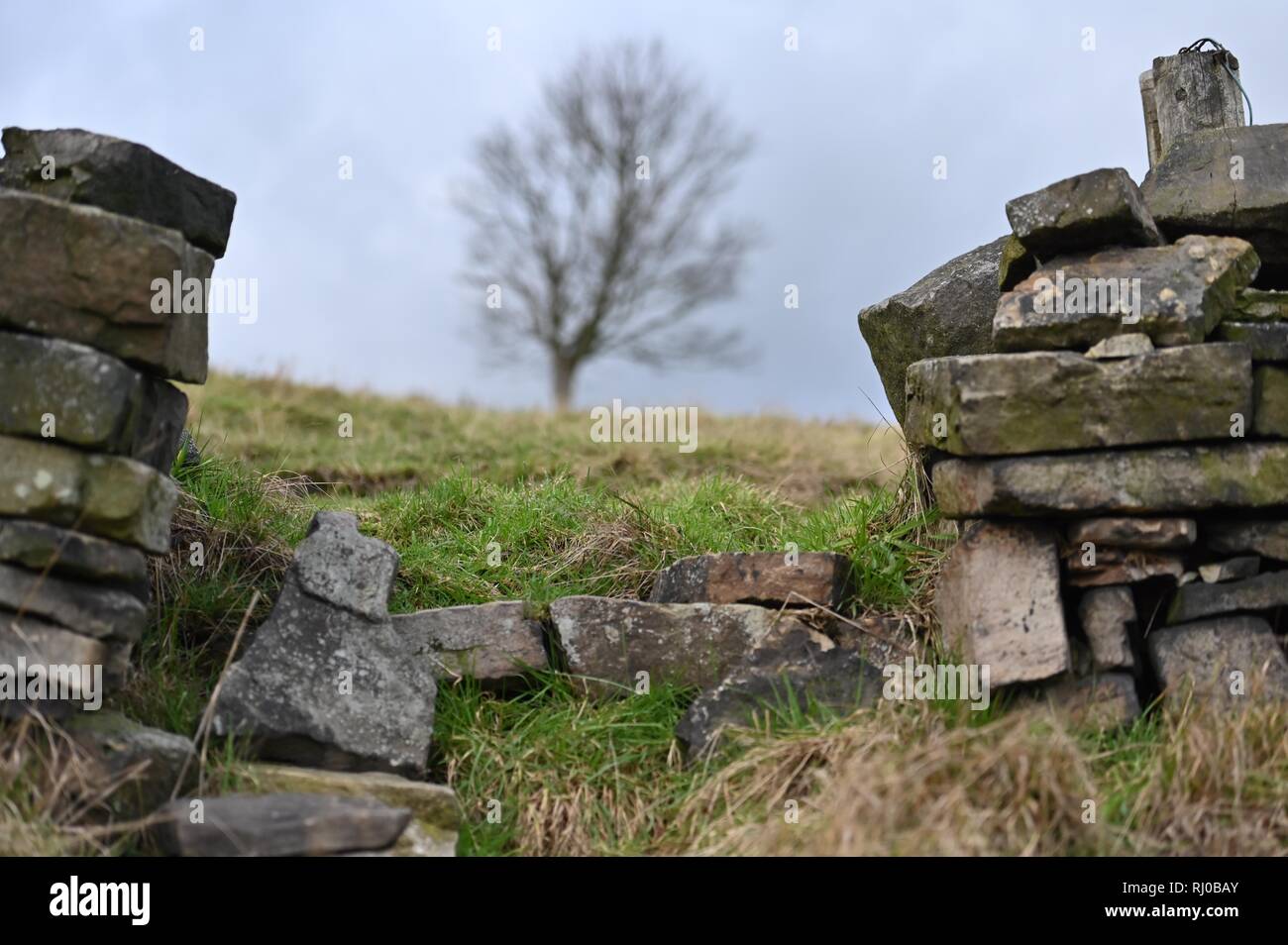 Eine Lücke in einem trockenen Steinmauer in New Mills, Derbyshire. Stockfoto