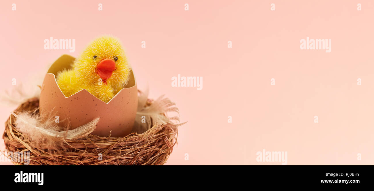 Süße Küken im Ei im Nest wie Ostern Überschrift Hintergrund Stockfoto