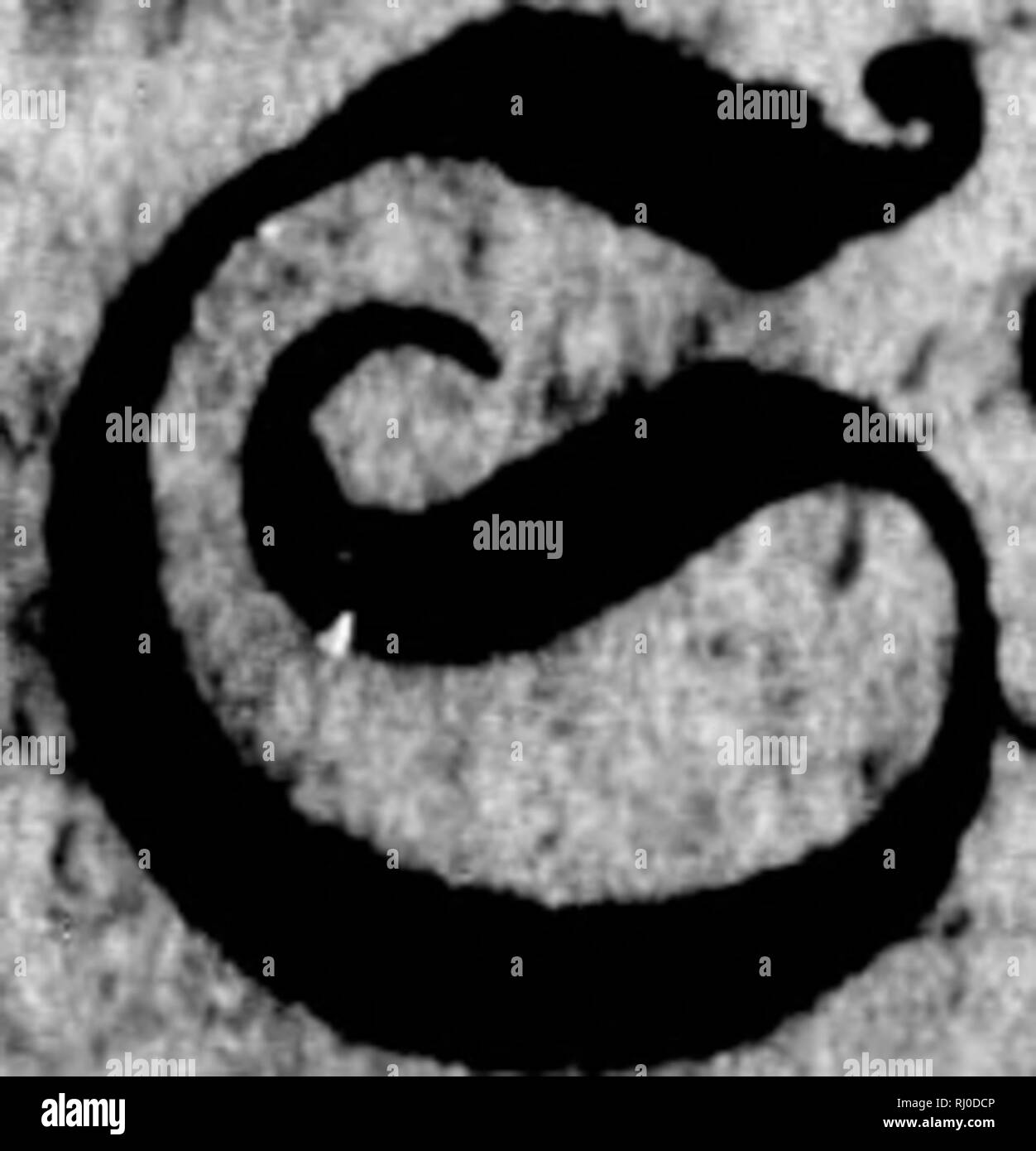 . Neue nordische BeytrÃ¤ge zur physikalischen und geographischen Erd-und VÃ¶ lcurbeschreibung, Naturgeschichte und Oekonomie [microform]. Reisen und Reisen; Naturgeschichte; Reisen; Sciences Naturelles. fv^. - V - 48 Ly. $ Si^Ã¤miiÃ¼nÂ § IV, furinamtfc^en Â© onnenreDdet^^^ (Ardea Helias), € 5. Â ¥ mh 5&lt; ikj I I • 1. c6 dn^ eif untÂ"^^ cttien dnnigfaffldfeit fc in tem $(Nr organiftrren ^C^opfung, n&gt; o ntdit unfer Er Spc^ upt^ xoede, M) tocntgÃend imter bie^^t ttiÃ¼it pfett FTE&lt;#nbart^ et (e/Die tri feinerdnbcrn^6*^ tÃ¤ $ jur 3 iei^ unb^^ CbtDec fefung ta jti Fe^n f^^ etrienJ liÂ "b Ãd; erlic 6^ Stockfoto