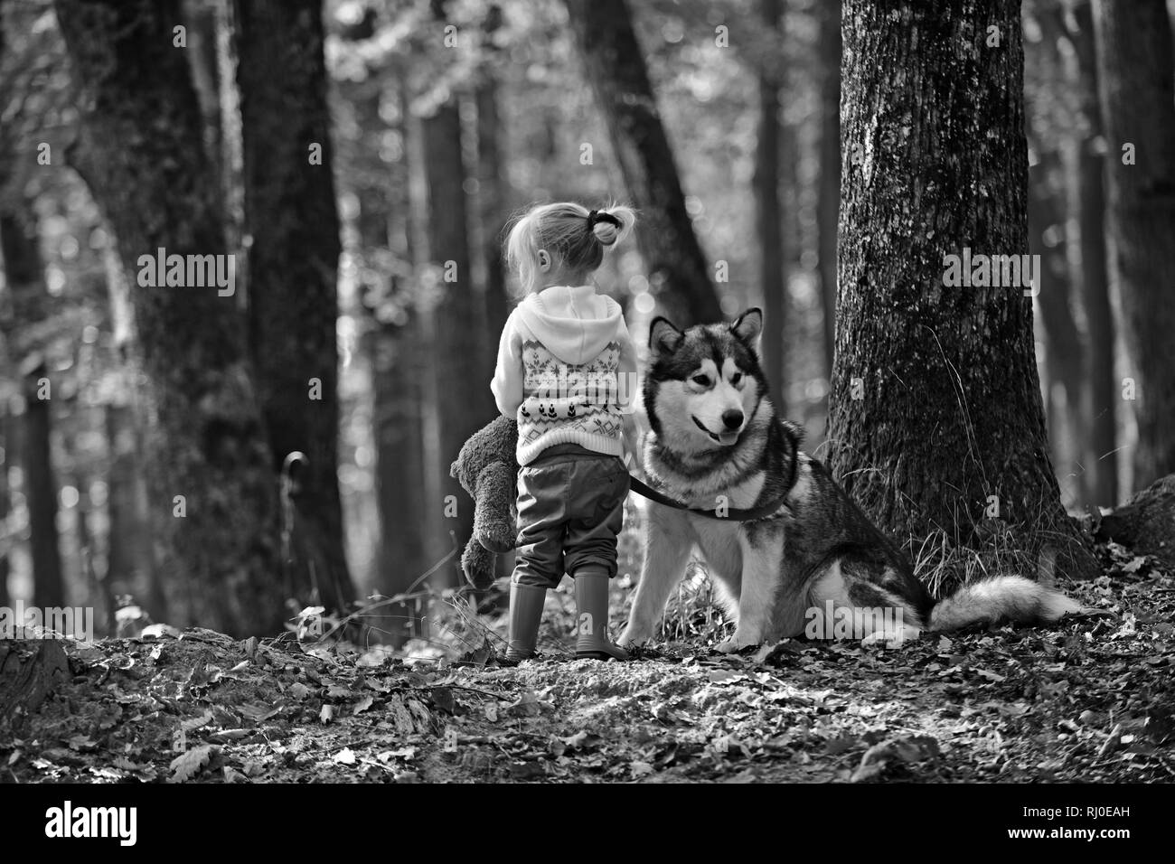 Kleines Mädchen mit Hund Wandern im Wald Stockfoto