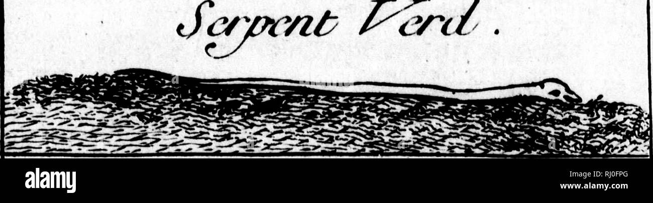 . Histoire de La Louisiane [microforme]: Contenant la Découverte de ce vaste zahlt; sa Beschreibung géographique; un Voyage dans les Terres; l'histoire naturelle; Les moeurs, coûtumes&amp; Religion des Naturels, avec leurs Origines; deux Voyages dans le Nord du Nouveau Mexique, dont un jusqu'à la Mer du Sud; ornée de deux Cartes &Amp; de 40 planches en Taille douce. Wissenschaft naturelles; Indiens; Naturgeschichte; Indianer Nordamerikas. Ply-Cl. &Amp; Il. Bitte beachten Sie, dass diese Bilder aus gescannten Seite Bilder, die digital für die Lesbarkeit verbessert haben mögen - Färbung und ap extrahiert werden Stockfoto