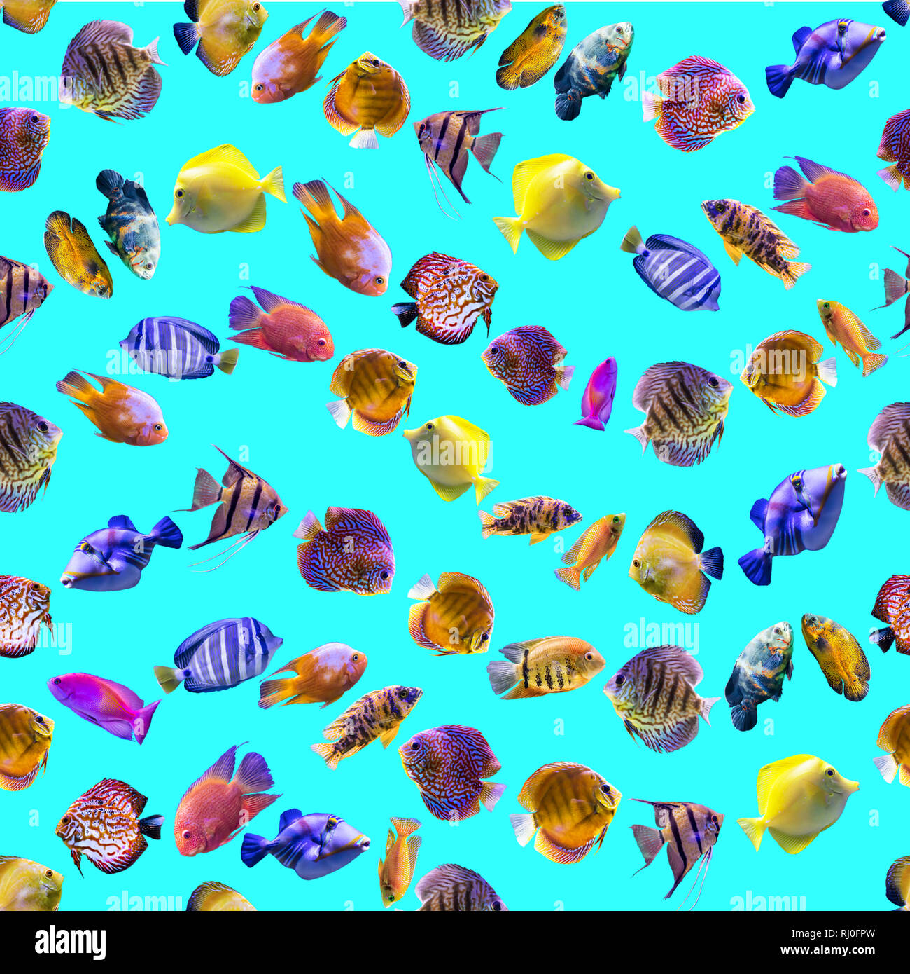 Wellenförmige nahtlose Muster. Bunten Fischen auf blauem Hintergrund. Über Natur, Kunst, Tiere, Meer, Fisch. Stockfoto