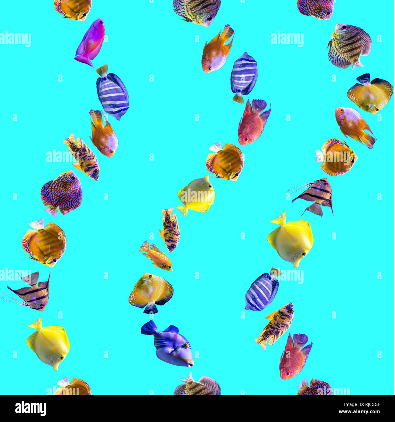 Wellenförmige nahtlose Muster. Bunten Fischen auf blauem Hintergrund. Über Natur, Kunst, Tiere, Meer, Fisch. Stockfoto