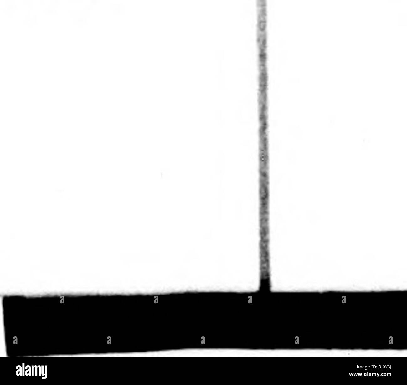 . Verborgene Schätze, oder, Fischerei rund um die Nord-West Coast [microform]. Fischerei; PÃªches. f1^';;;;;;;; Ich, nN ru.-M l auf Llu. isla. ul-s ol'Sulnl I' uulS. mil Saiut lifOiÂ" c, oder tUt,,, nlu. r und () ct..l, r, in cadi Jahr; ein. l Es Ik-rechtswidrig kll&gt; ud, s. Als auf anv Zeit l.y llu^ Nutzung des Llr.-arn. Â¢â". sr o, hn-m.-n-. n tn.hu,,^, ich;. Ââ. L v,,/n.,. .-/.' - V "m/.^.-/V-. vW ./. Das. HONA - neso. M.1.1 Inseln havo die ich. rlMle^r des Tötens Hueh yonn^ Dichtungen als nn.y, e, Stange für Ihre eigenen nse, die Bi-töten. Alle er Ihulted ami Con-!; ollei l, v sueh Verordnungen wie h Stockfoto