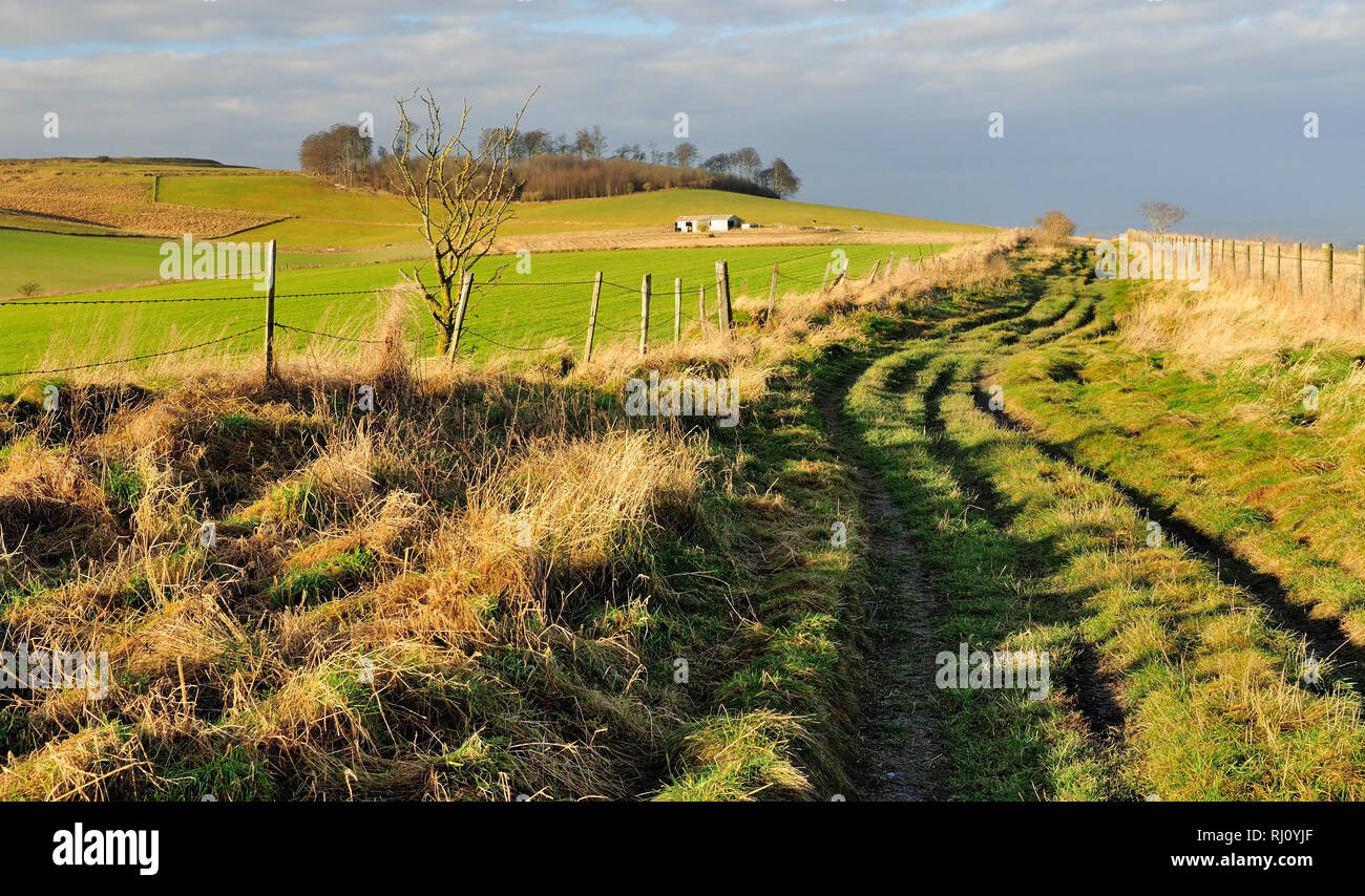 Die Route der Alten Bath Road in Richtung White Horse Plantage auf cherhill Unten (jetzt Teil der Wessex Ridgeway Trail). Stockfoto