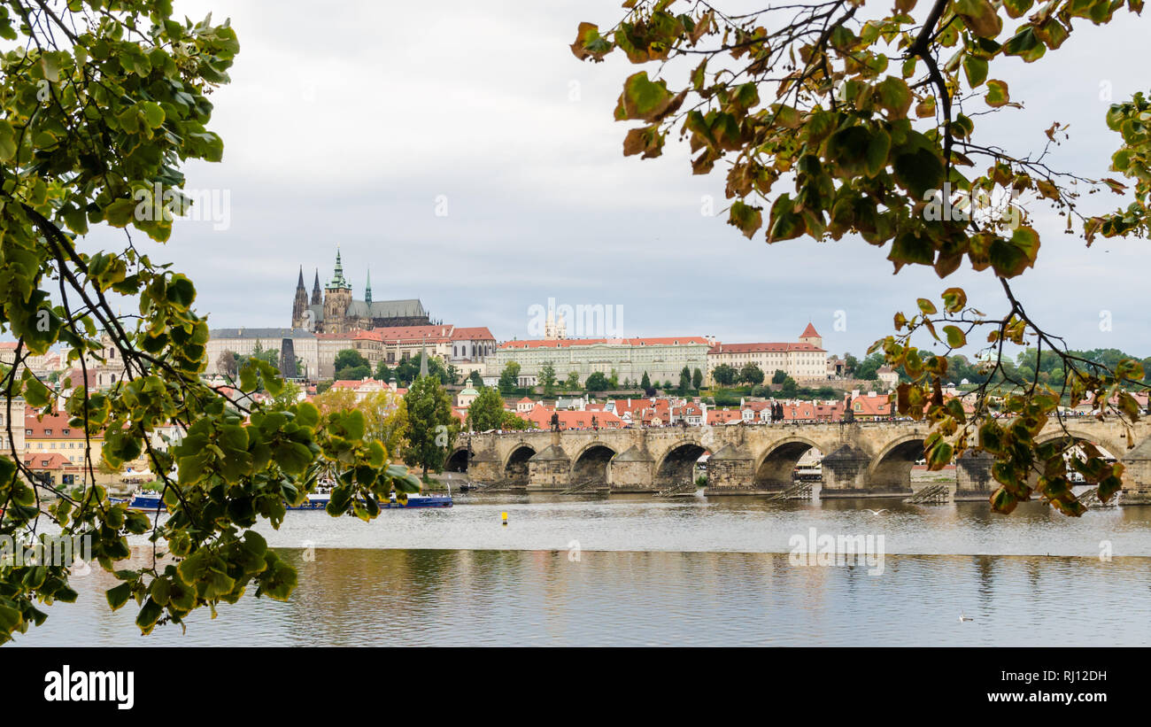 Charles Brücke und St. Vitus Kathedrale durch Blätter, Prag, Tschechische Republik Stockfoto
