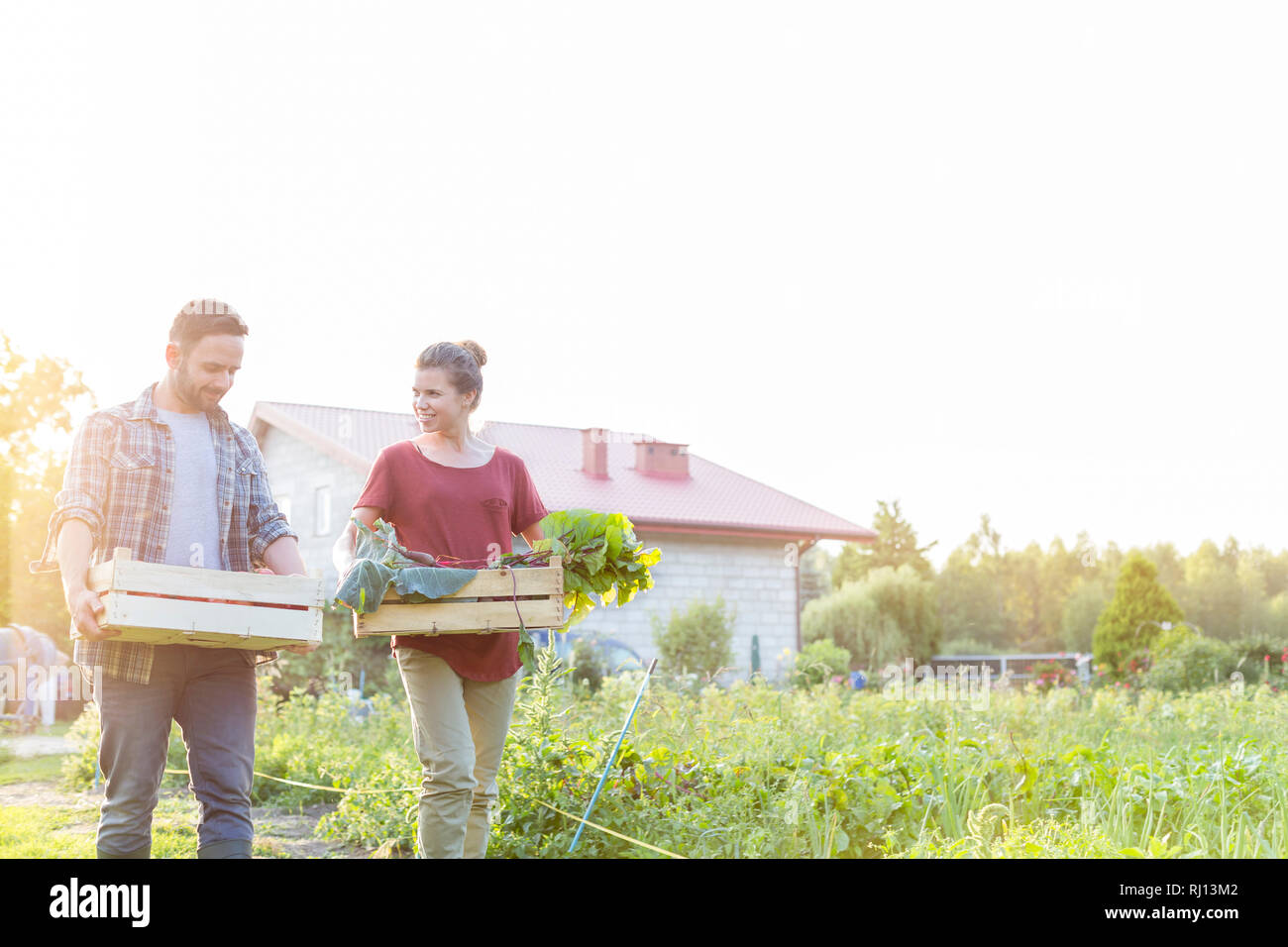 Paar mit Gemüse in der Kiste beim Gehen in Farm gegen Sky Stockfoto