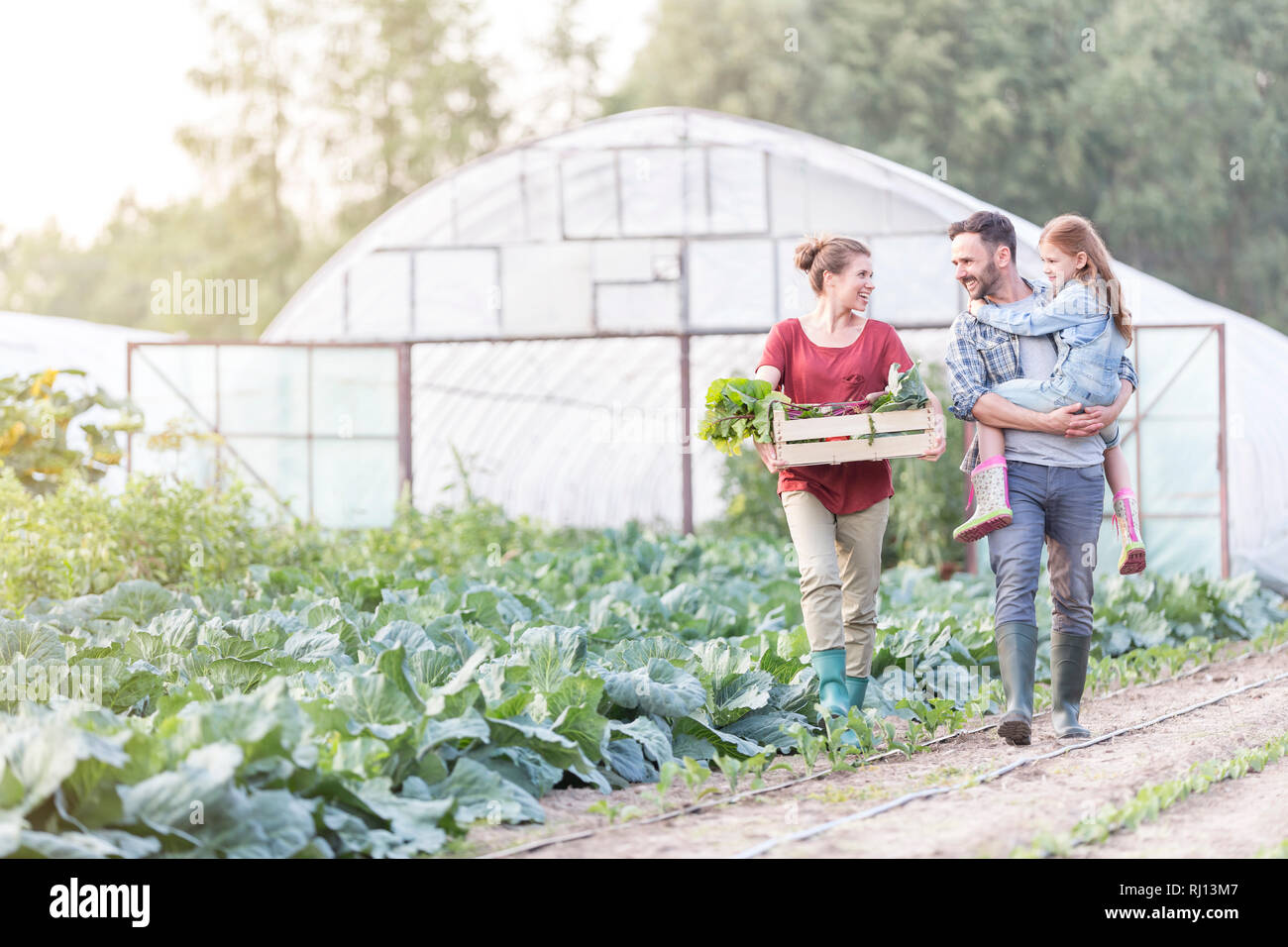 Lächelnd Familie mit Gemüse in der Kiste zu Fuß durch Kohl am Bauernhof Stockfoto