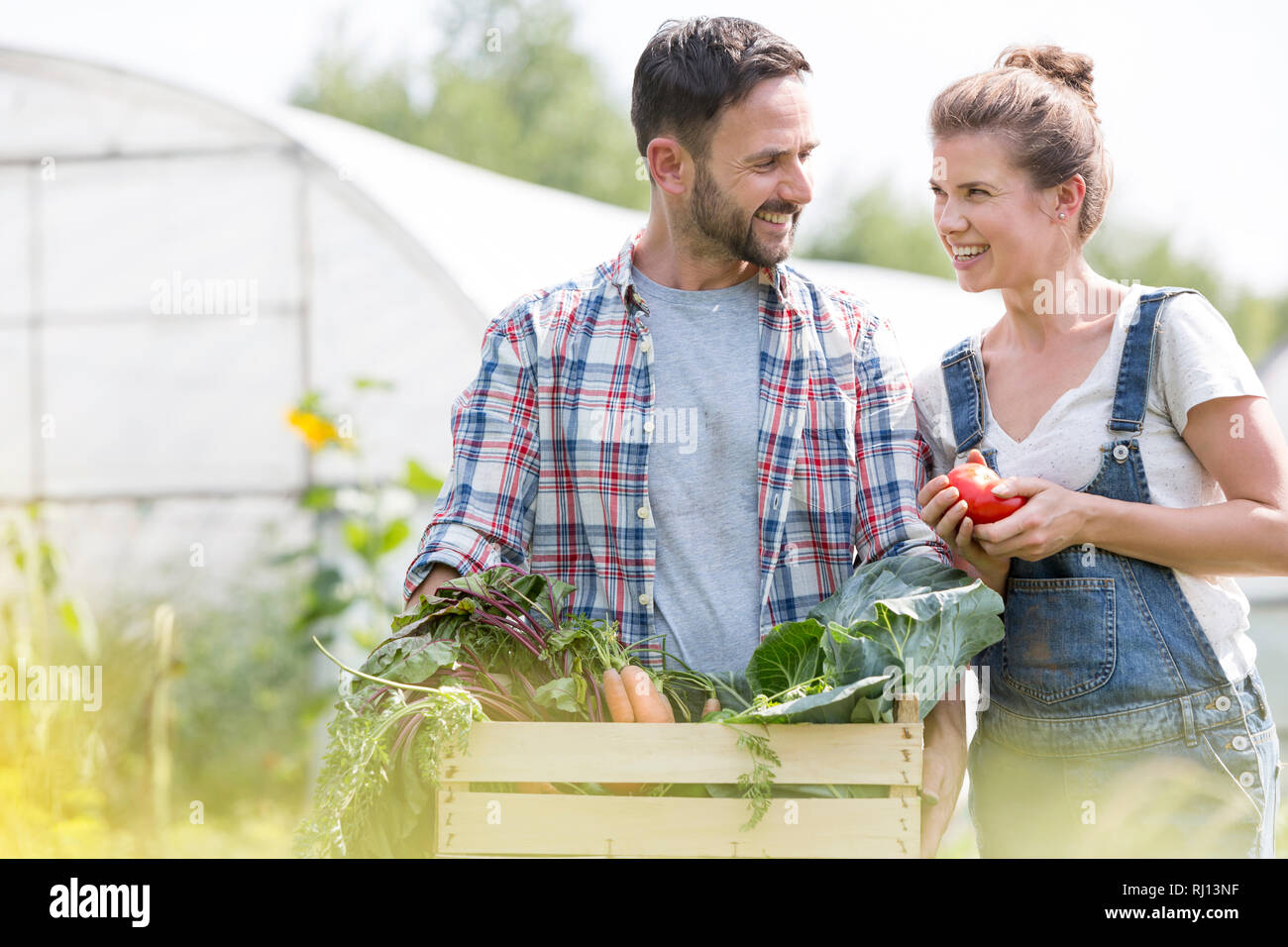 Glückliches Paar sprechen während Sie Gemüse in der Kiste auf dem Bauernhof Stockfoto