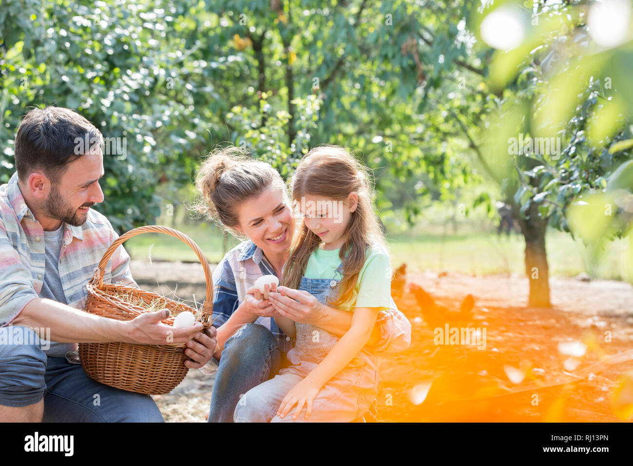 Glückliche Eltern zeigen frische Eier zu der Tochter auf dem Bauernhof Stockfoto