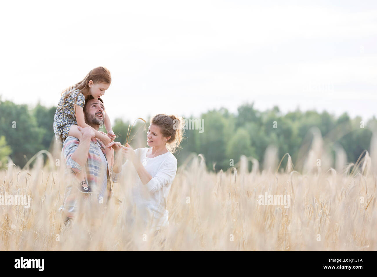 Happy Family steht man inmitten Weizen auf der Farm gegen Sky Stockfoto