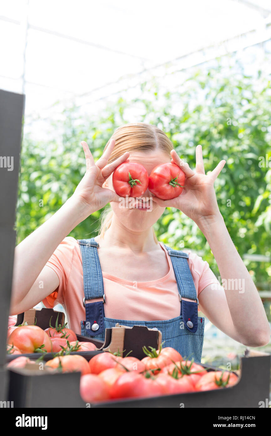 Landwirt spielen mit Tomaten beim Stehen in der Farm Stockfoto