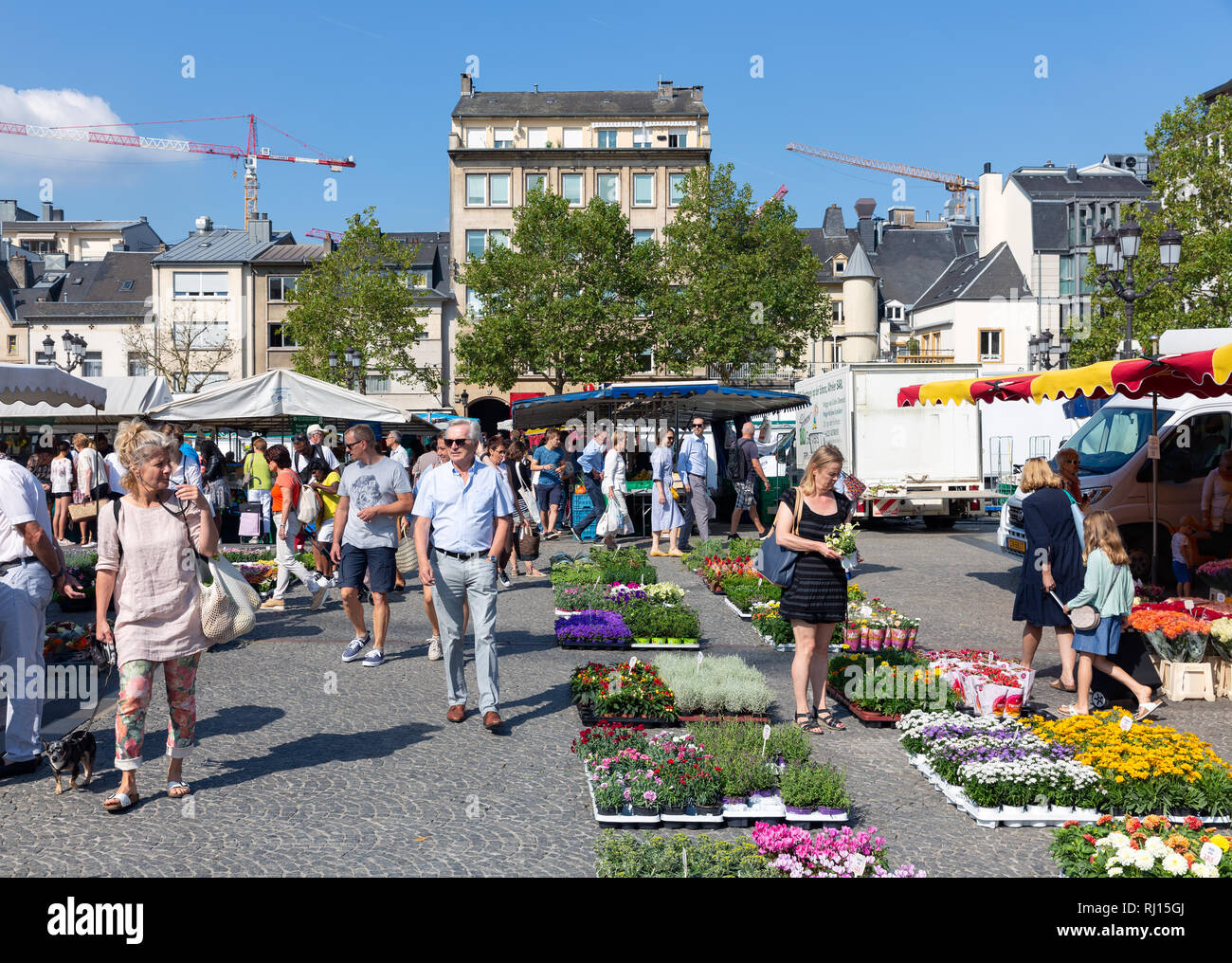 Einkaufen In Luxemburg An Der Grenze www.alamy.de