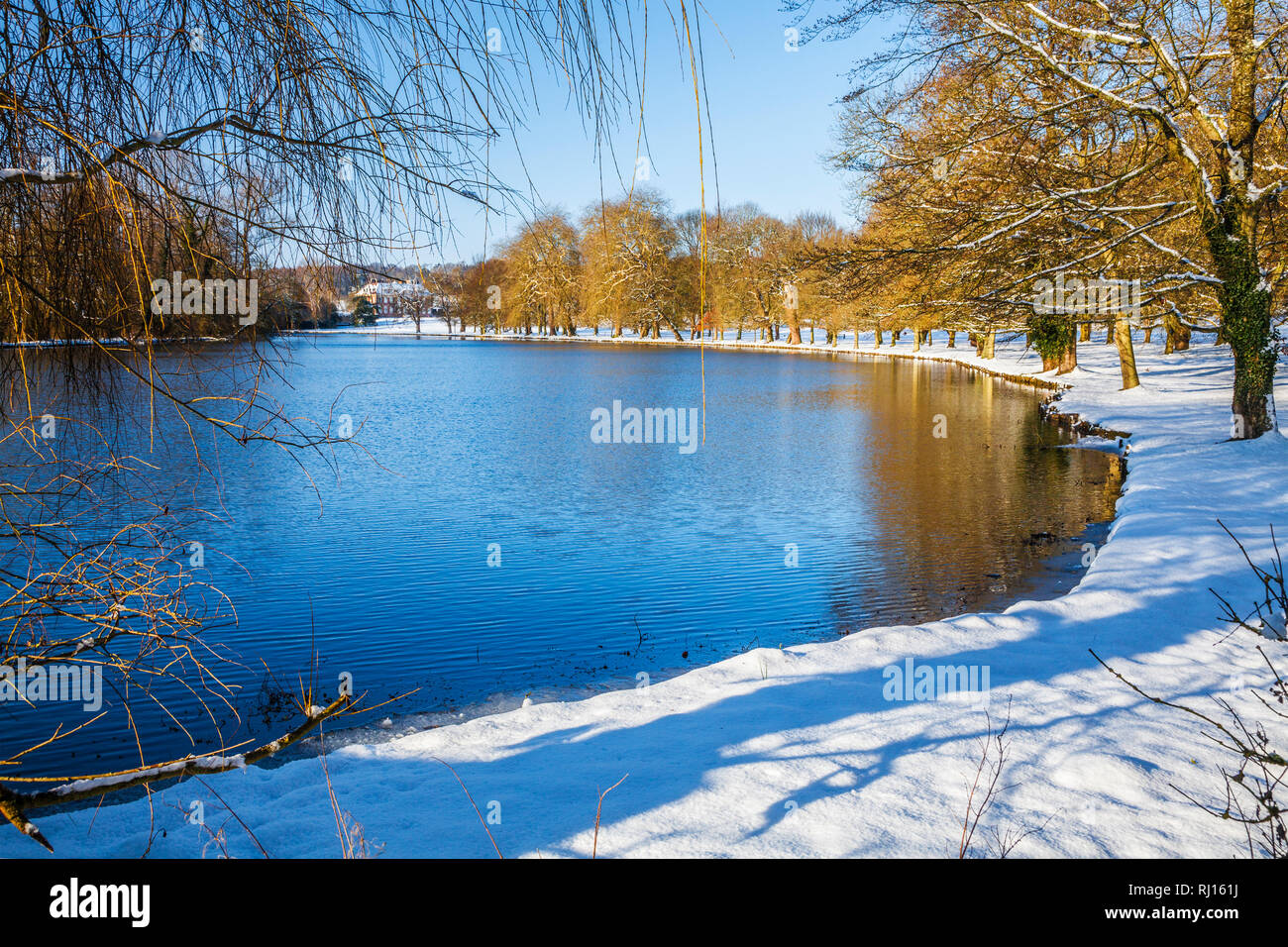 Der schneereiche Winter tag auf dem ramsbury Manor Estate in Wiltshire. Stockfoto