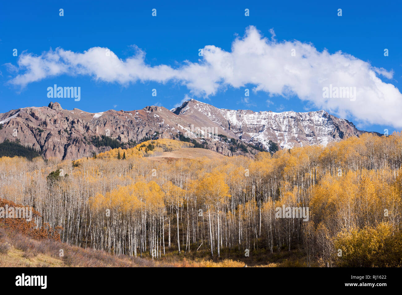 Die sneffels Bergkette im frühen Herbst gesehen aus dem letzten Dollar Straße entlang der Dallas Divide, Colorado. Stockfoto