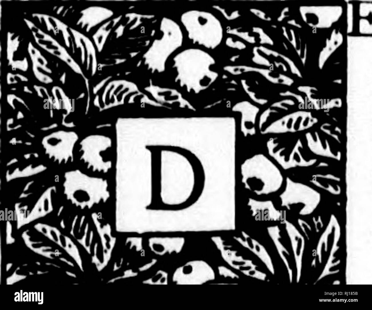 . Die natürliche Geschichte der Selborne [microform]. Natural History; Sciences Naturelles. n%" • miM SCHREIBEN XL auf die gleiche. Selborne, Feb, it/:, 1772. lAR, Sir, wenn ich von im Winter fahren, und solche gewaltigen Herden von verschiedenen Arten von Vögel sehen, kann ich nicht umhin zu bewundern an diesen congrega-, und wollen, dass es in meiner Macht wurde für diejenigen Erscheinungen fast Typisch für die Jahreszeit zu berücksichtigen. Die zwei großen Motive, die regelmä- Ende der Beratungen des Brute-force Schöpfung sind Liebe und Hunger; die Forn -'er drängt die Tiere ihrer Art zu verewigen; letztere führt Sie Personen zu bewahren; whe Stockfoto