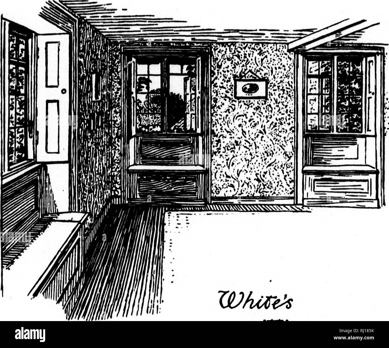 . Die natürliche Geschichte der Selborne [microform]. Natural History; Sciences Naturelles. n%" • miM SCHREIBEN XL auf die gleiche. Selborne, Feb, it/:, 1772. lAR, Sir, wenn ich von im Winter fahren, und solche gewaltigen Herden von verschiedenen Arten von Vögel sehen, kann ich nicht umhin zu bewundern an diesen congrega-, und wollen, dass es in meiner Macht wurde für diejenigen Erscheinungen fast Typisch für die Jahreszeit zu berücksichtigen. Die zwei großen Motive, die regelmä- Ende der Beratungen des Brute-force Schöpfung sind Liebe und Hunger; die Forn -'er drängt die Tiere ihrer Art zu verewigen; letztere führt Sie Personen zu bewahren; whe Stockfoto