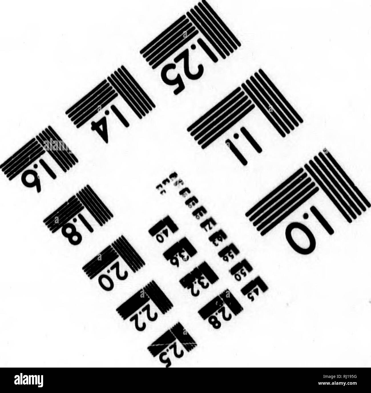 . Studien des pflanzlichen Lebens in Kanada, oder, Gleanings von Wald, See und plain [microform]. Pflanzen; Botanik; Plantes; Botanique. / ^ Hiotographic Sciences Corporation 33 WIST HAUPTSTRASSE WEBSTER, NY. USSO (716) 873-4503. Bitte beachten Sie, dass diese Bilder sind von der gescannten Seite Bilder, die digital für die Lesbarkeit verbessert haben mögen - Färbung und Aussehen dieser Abbildungen können nicht perfekt dem Original ähneln. extrahiert. Traill, Catherine Parr Strickland, 1802-1899. Ottawa: A. S. Woodburn Stockfoto