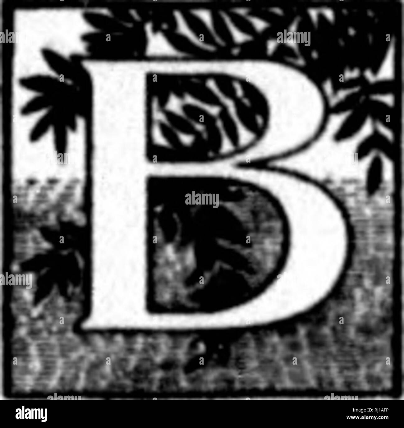 . Wilde Blumen von Kanada [microform]. Wilde Blumen; Blüten; Botanik; Fleurs sauvages; Fleurs; Botanique. r"==^GESÄUMTEN FELBERICH. PIRATE 51. CILIATUM STEIRONEMA. (PRIMROSE FAMILIE.) "irfnniat; Stammzellen ft Aal/zerrissen ein ctttPing toettitixk. Analttt, ckanneleii: leatei opp. Mttf auf I'ntg. iiliiilf f&gt; ftiolfs. oxtU. ak diute an thf Apex, Th m x^mv. flnuYrx oh sIfHder. arilliiry ptdunclet; talv* Jiif - parltti; fottitia bÂ" Ight yfllow. wherl ihapfj, fiif - lmfteil; itatnetn Fitr^ wttk Ittf otkrr tuttimemti hetnrfn tttem. "Die Blumen der Liebe thnl ninninf; stre.ini. Iris und Orchis aiul t Stockfoto