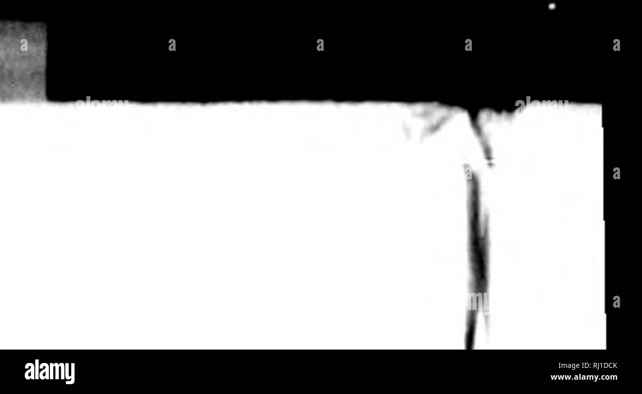 . Ein altes Kapitel der geologischen Datensatz mit einer neuen Interpretation, oder Rock - metamorphose (besonders die methylosed Art) und der daraus resultierenden Imitationen von Organismen [microform]: eine Einführung geben eine kommentierte Geschichte der Kontroverse über die so genannte "Eozoon canadense", und einen Anhang. Paläontologie; Metamorphose (Geologie); Paléontologie; Métamorphisme (GÉOLOGIE). [I = f'r:'. 118 ROQK - MflTAMORPHISI^, ERGÄNZENDE NOTH B. AUF DER KRISTALLINEN KÖRPER DER SUNDERLAND PERMIAN magnesiumhaltigen Kalkstein.. Bitte beachten Sie, dass diese Bilder aus gescannten Seite Bilder extrahiert werden, Stockfoto