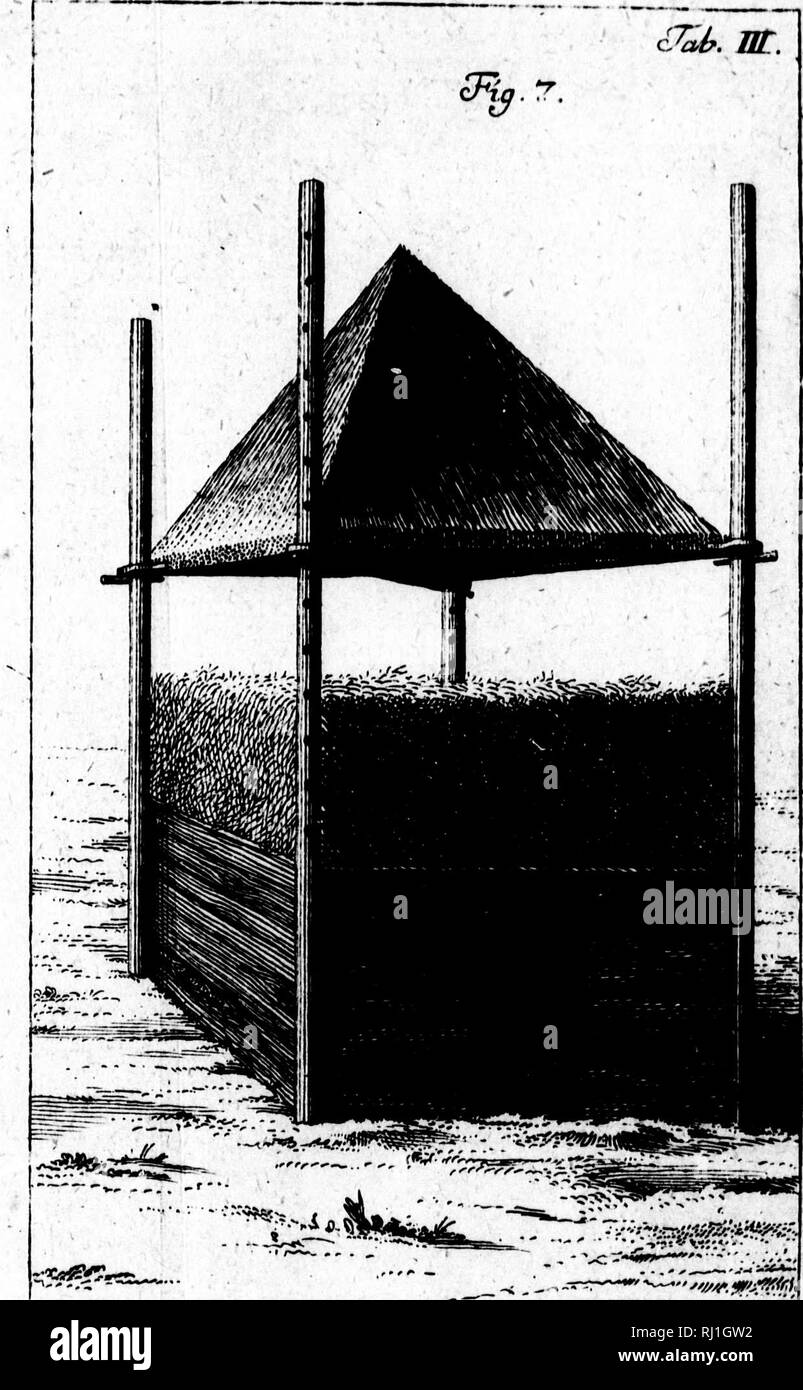 . Des Herrn Peter Kalms... Beschreibung der Reise stirbt er nach dem nÃ¶rdlichen Amerika in den Befehl gedachter Akademie und Ã¶ öffentliche Kosten unternommen hat [microform]. Natural History; Naturgeschichte; Wissenschaftliche Expeditionen; Baron, Baron; ExpÃ©Habungs scientifiques. Â ¢ â-. •., R,. 4. "Y"; Â"Â" ... Â ¢ - â â ¢. Bitte beachten Sie, dass diese Bilder sind von der gescannten Seite Bilder, die digital für die Lesbarkeit verbessert haben mögen - Färbung und Aussehen dieser Abbildungen können nicht perfekt dem Original ähneln. extrahiert. Kalm, Pehr, 1716-1779. Göttingen [G Stockfoto