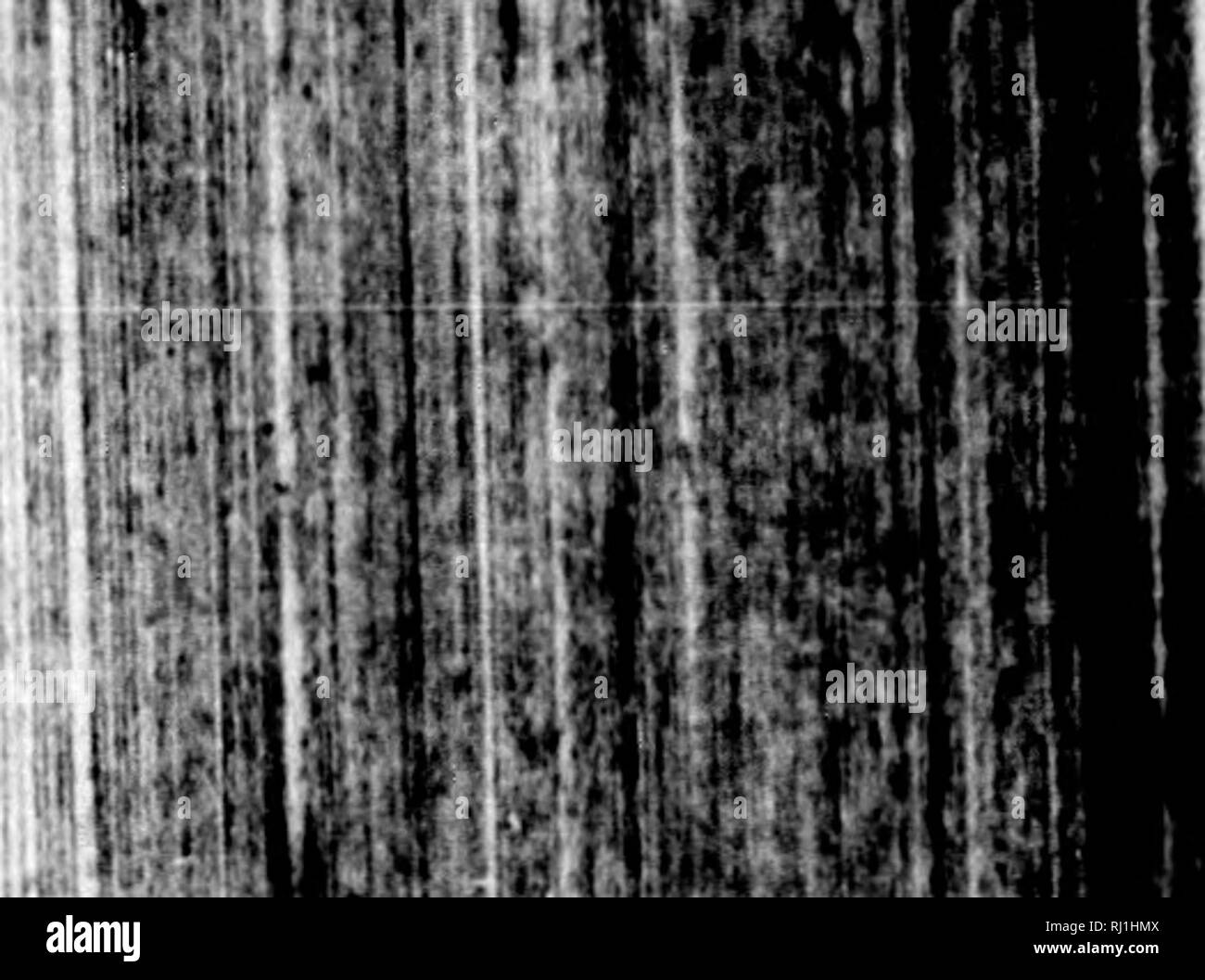 . Des Herrn Peter Kalms... Beschreibung der Reise stirbt er nach dem nÃ¶rdlichen Amerika in den Befehl gedachter Akademie und Ã¶ öffentliche Kosten unternommen hat [microform]. Natural History; Naturgeschichte; Wissenschaftliche Expeditionen; Baron, Baron; ExpÃ©Habungs scientifiques. "I: Ich â ¦ ft. $ Ich Ol â Â",.. Bitte beachten Sie, dass diese Bilder sind von der gescannten Seite Bilder, die digital für die Lesbarkeit verbessert haben mögen - Färbung und Aussehen dieser Abbildungen können nicht perfekt dem Original ähneln. extrahiert. Kalm, Pehr, 1716-1779. Göttingen [Deutschland]: Im V Stockfoto