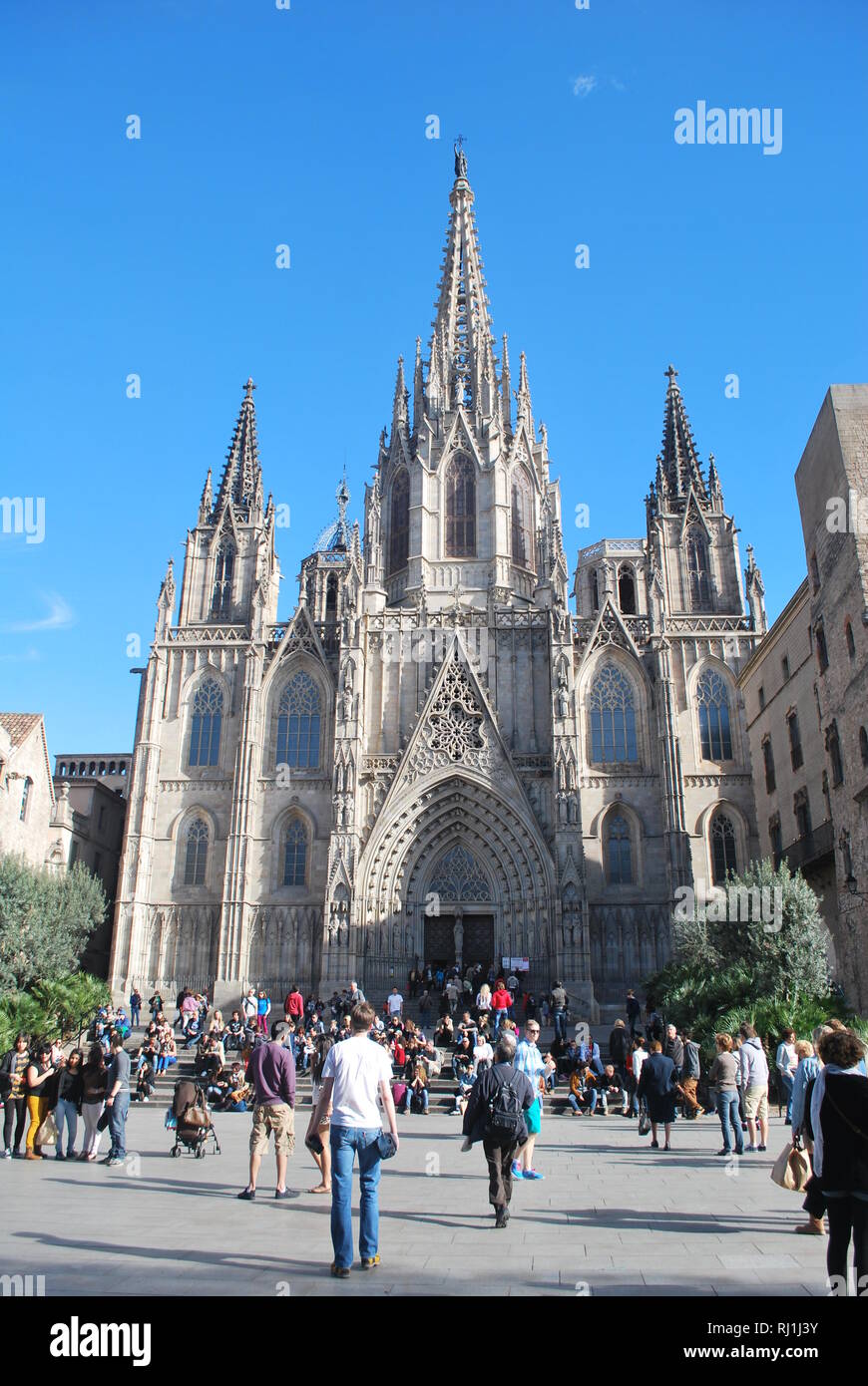 Die Kathedrale von Barcelona, Spanien (im gotischen Stil, begonnen im Jahre 1298) Stockfoto